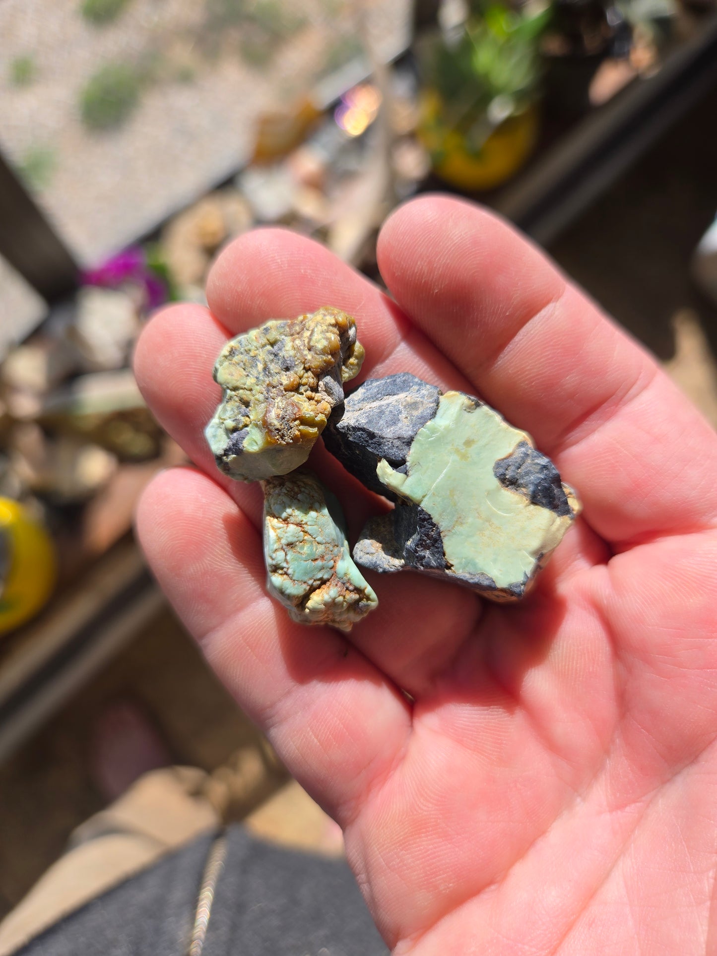 Desert Bloom Variscite/Turquoise rough for cabbing - Nevada Variscite -28 grams