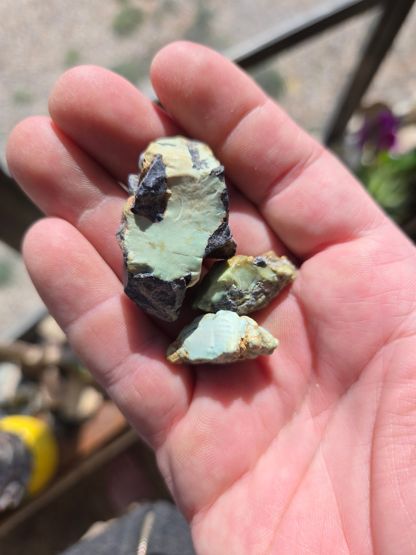 Desert Bloom Variscite/Turquoise rough for cabbing - Nevada Variscite -28 grams