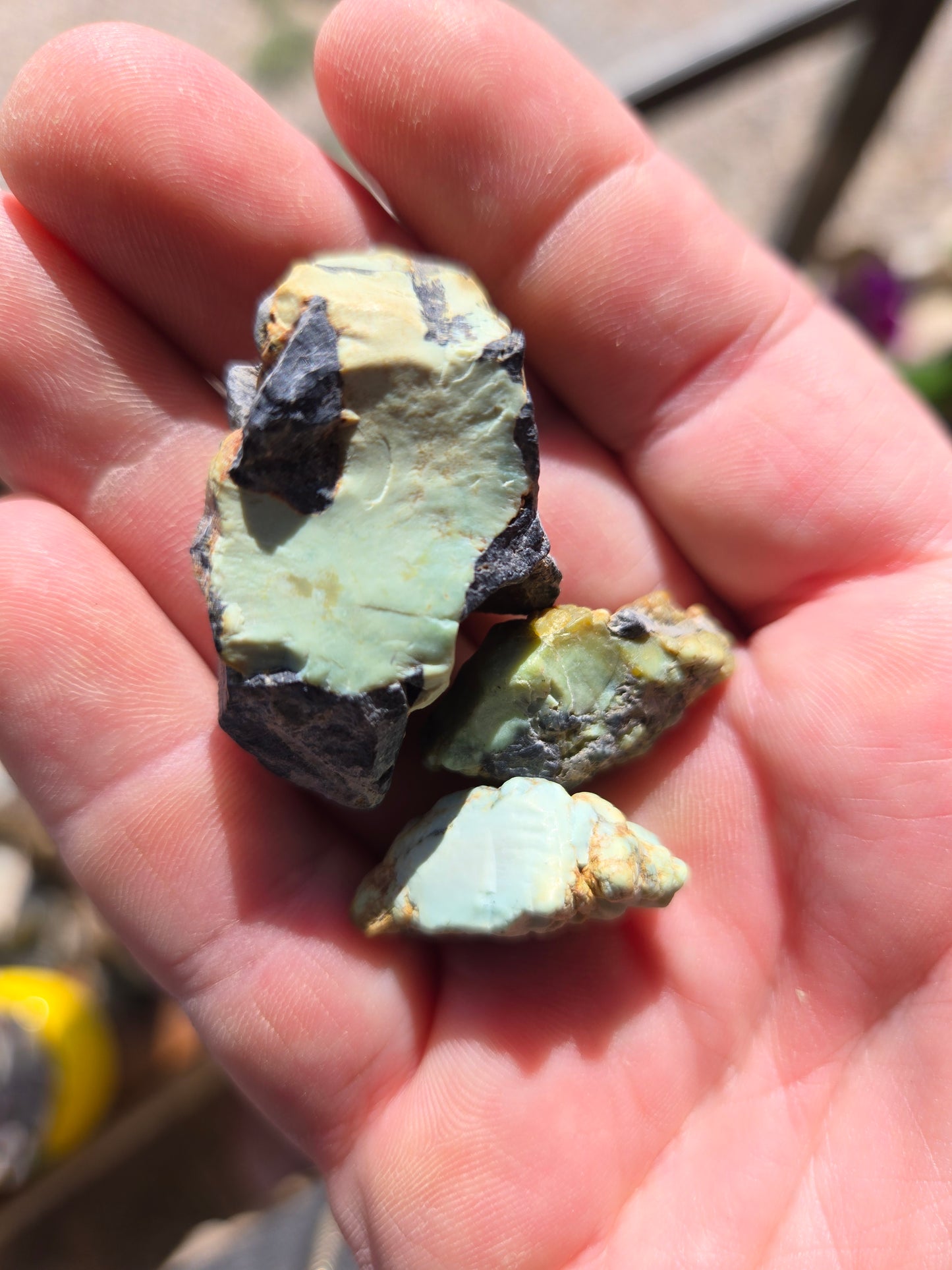Desert Bloom Variscite/Turquoise rough for cabbing - Nevada Variscite -28 grams