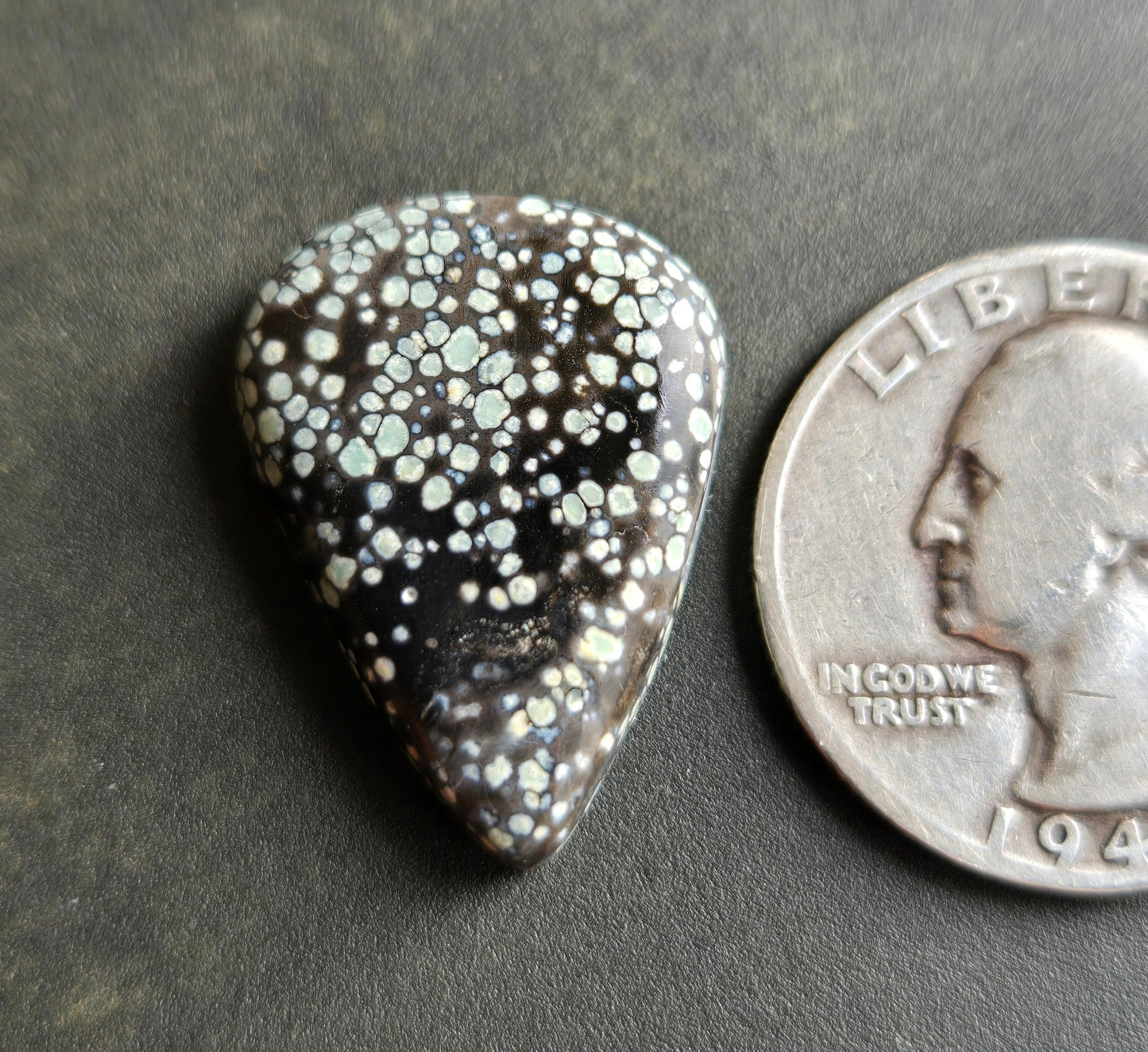 Desert Bloom Variscite Cabochon