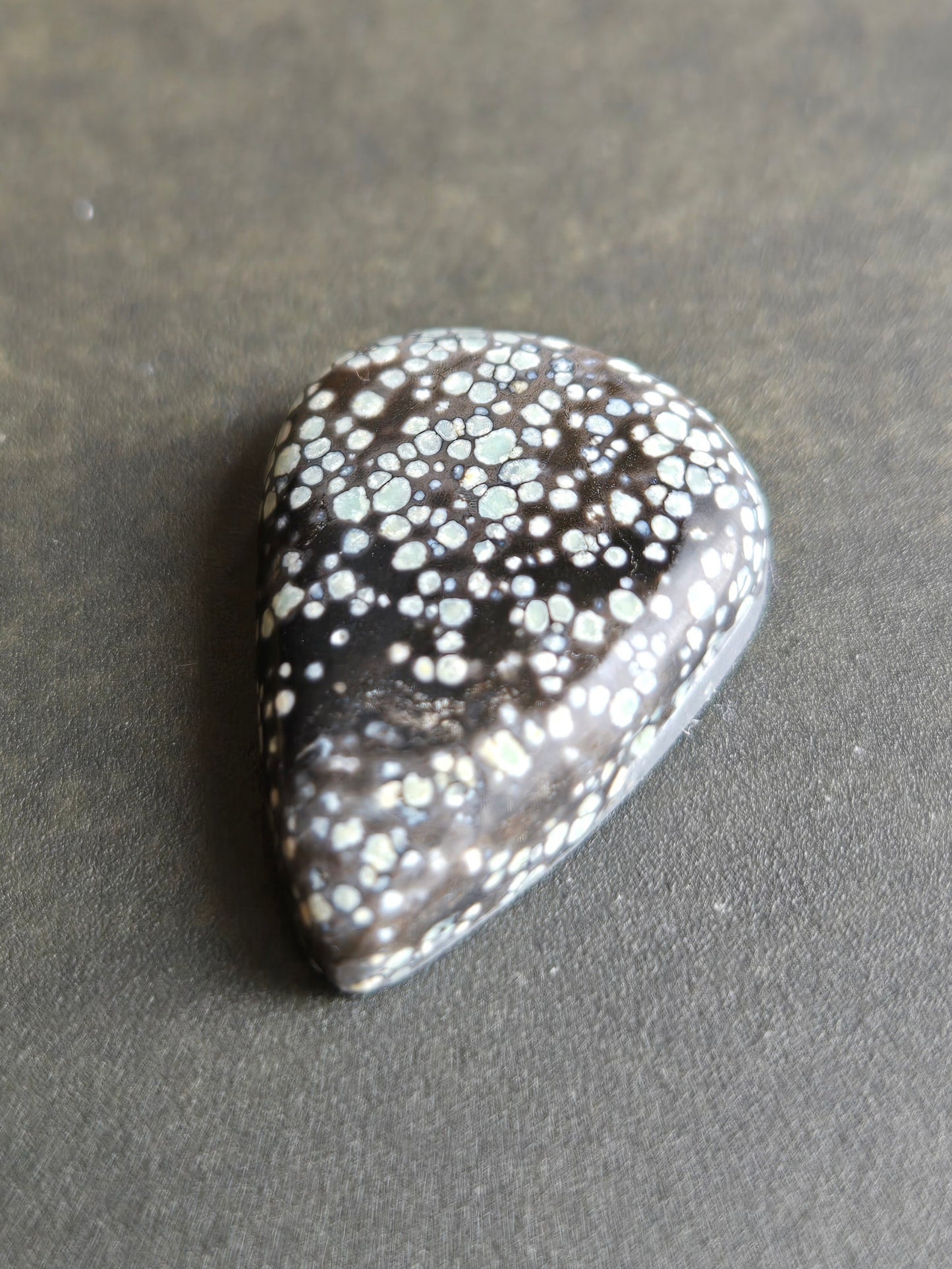 Desert Bloom Variscite Cabochon