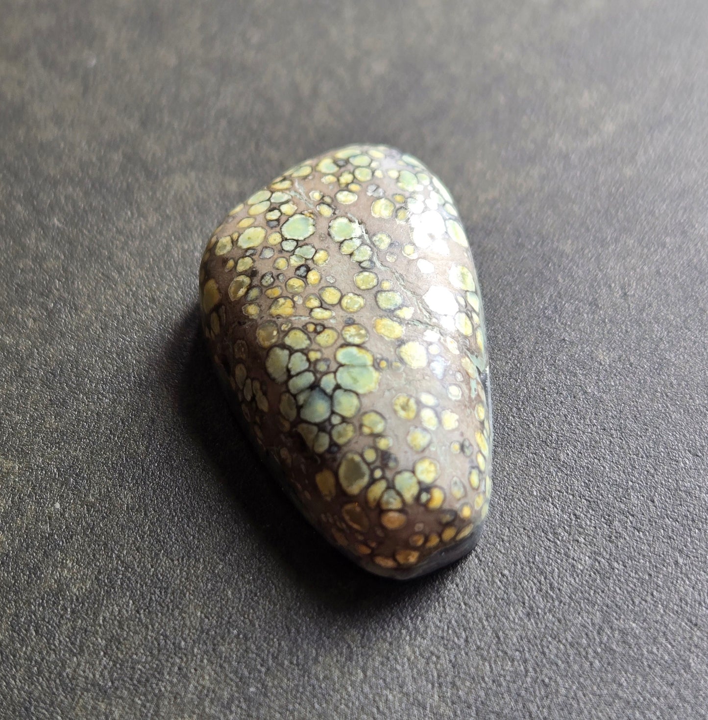 Desert Bloom Variscite Cabochon