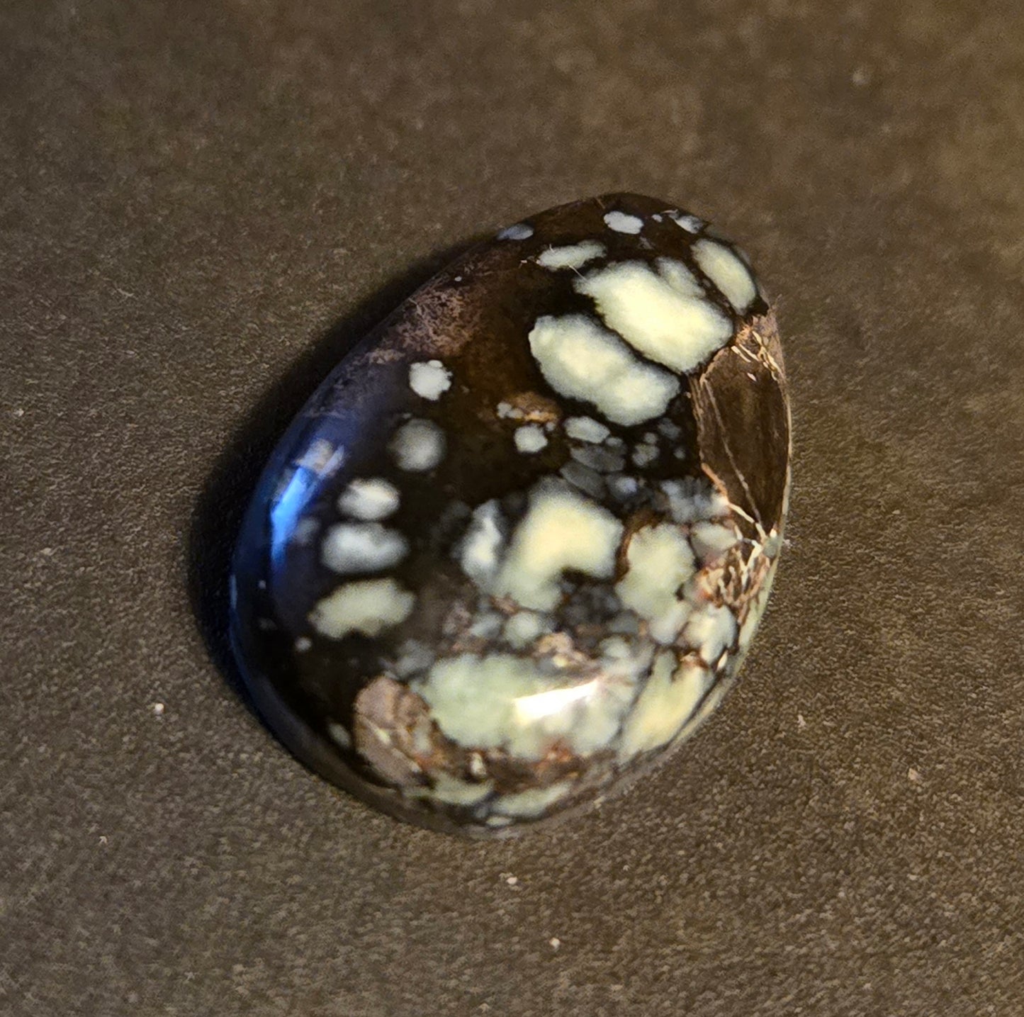 Desert Bloom Variscite Cabochon