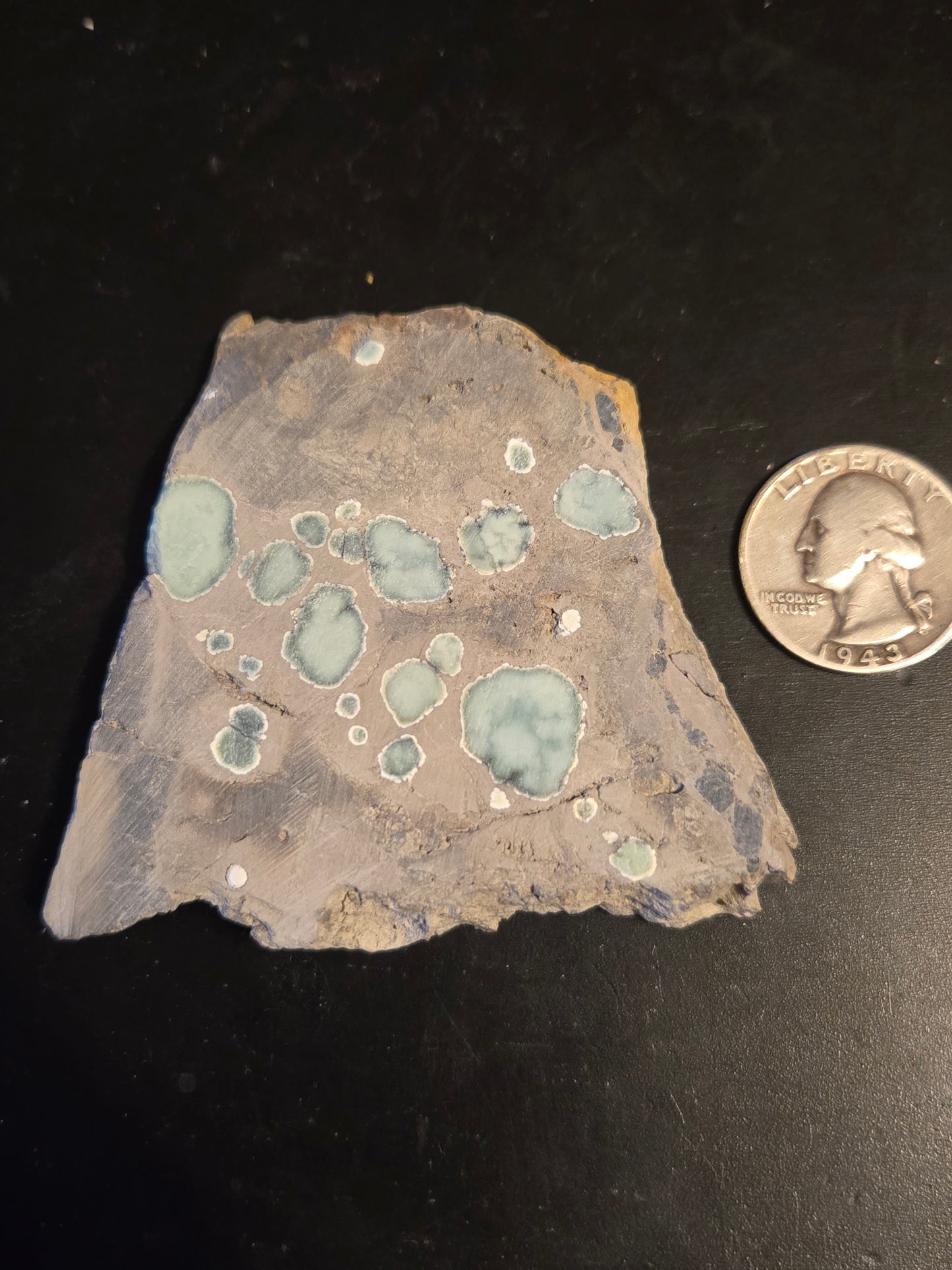 Desert Bloom Variscite/Turquoise rough for cabbing - Nevada Variscite - 68 grams