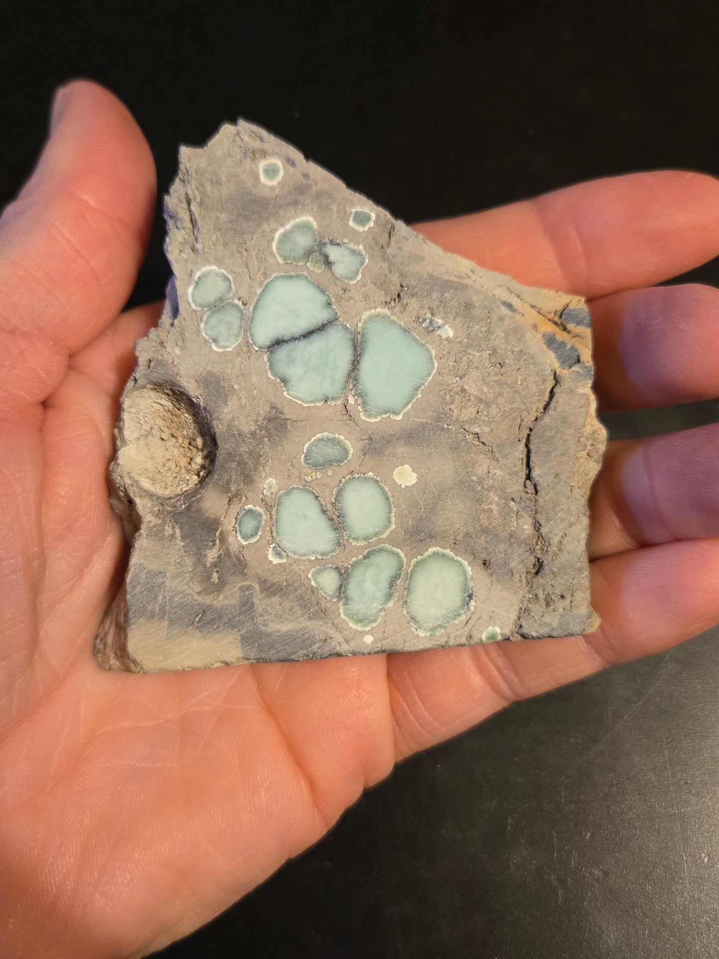 Desert Bloom Variscite/Turquoise rough for cabbing - Nevada Variscite - 68 grams