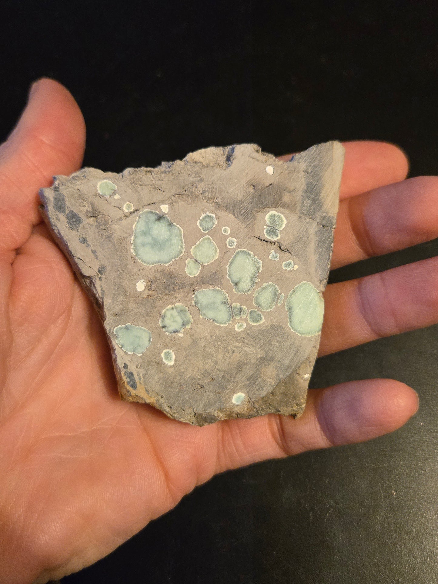 Desert Bloom Variscite/Turquoise rough for cabbing - Nevada Variscite - 68 grams