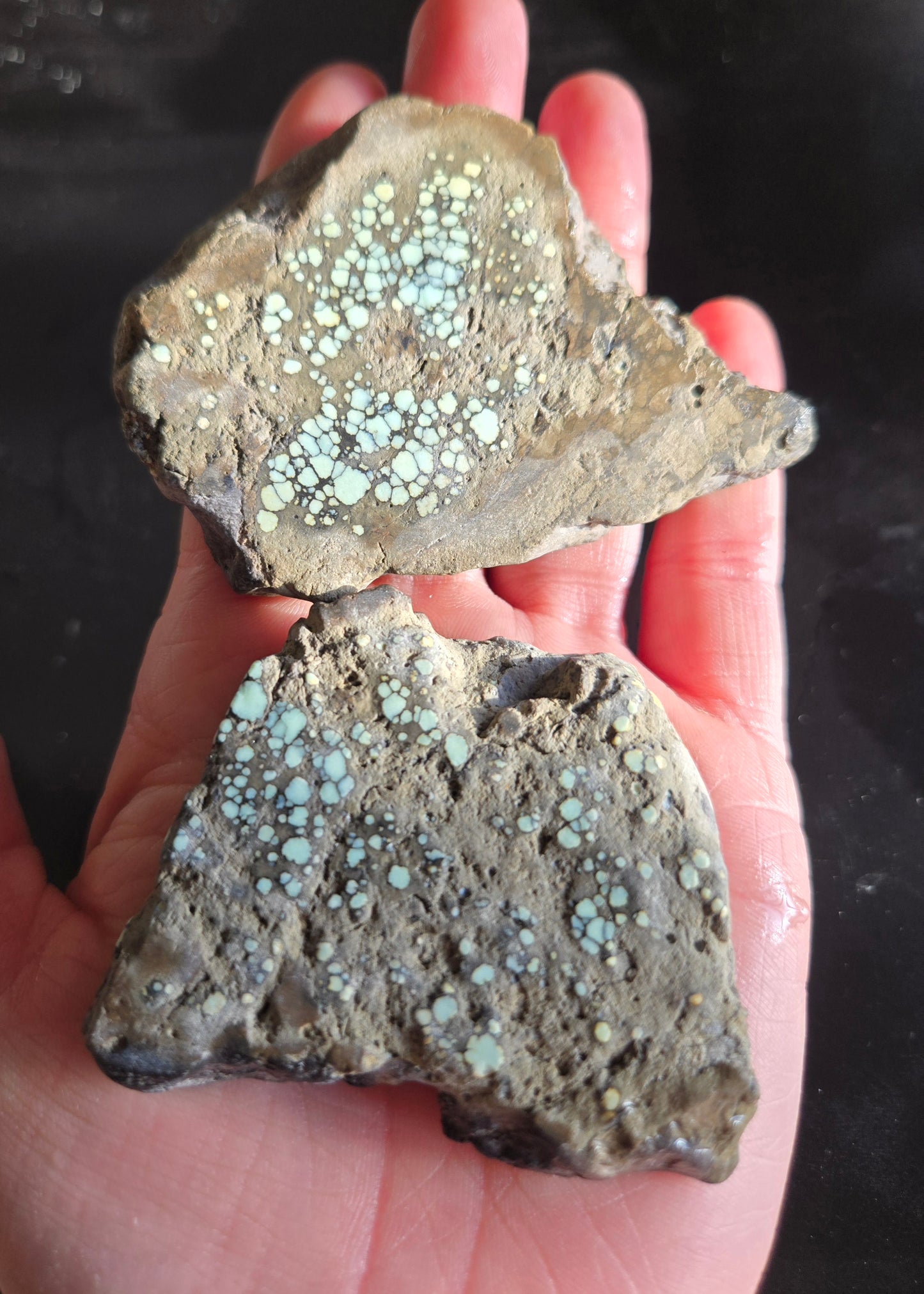 Desert Bloom Variscite/Turquoise slabs for cabbing - Nevada Variscite - 106 grams