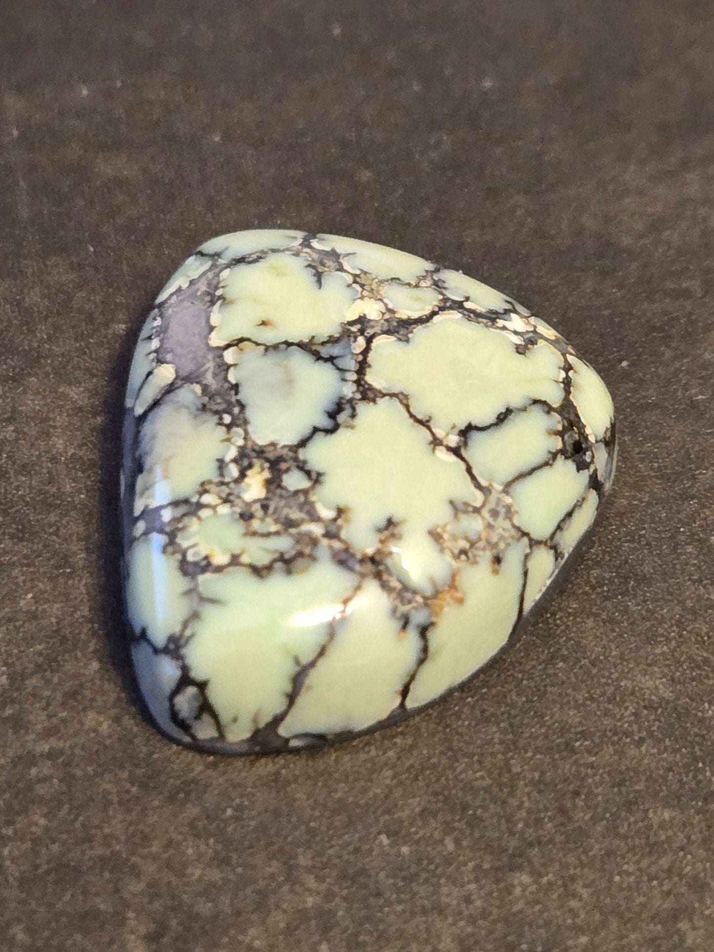 Saguaro Variscite Cabochon