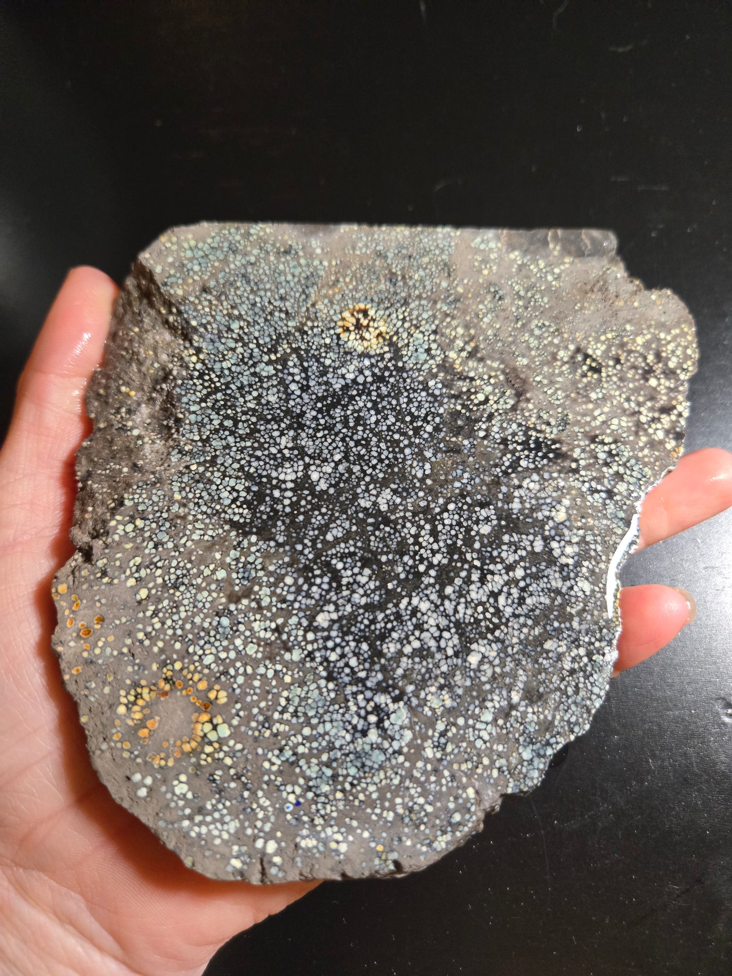 Desert Bloom Variscite/Turquoise slab for cabbing - Nevada Variscite - 276 grams