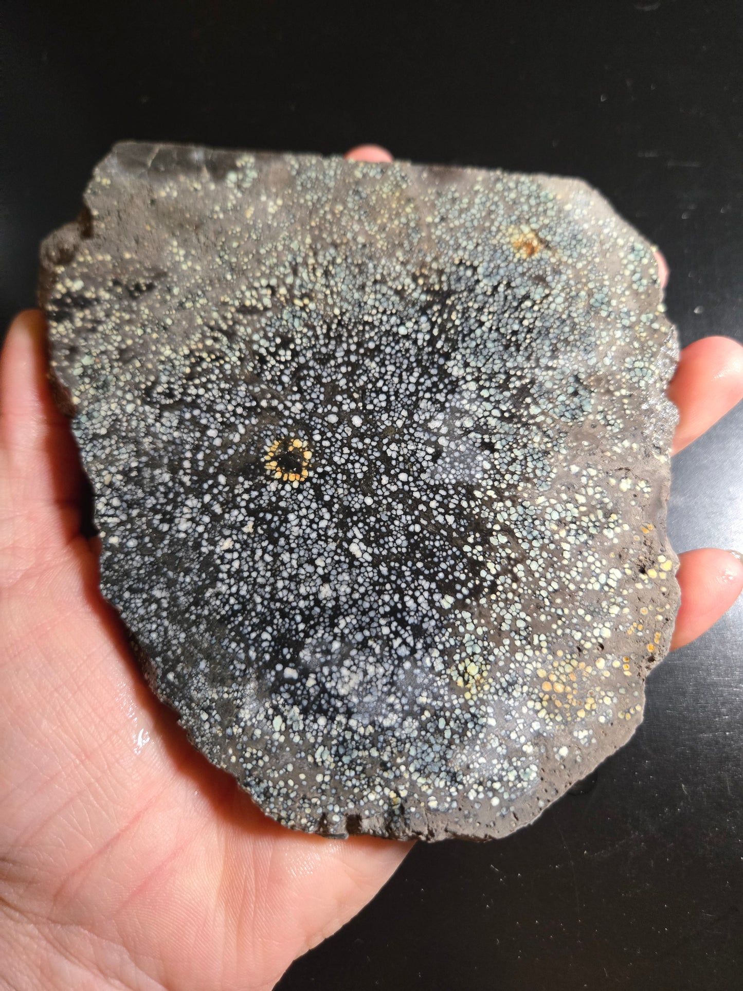 Desert Bloom Variscite/Turquoise slab for cabbing - Nevada Variscite - 276 grams