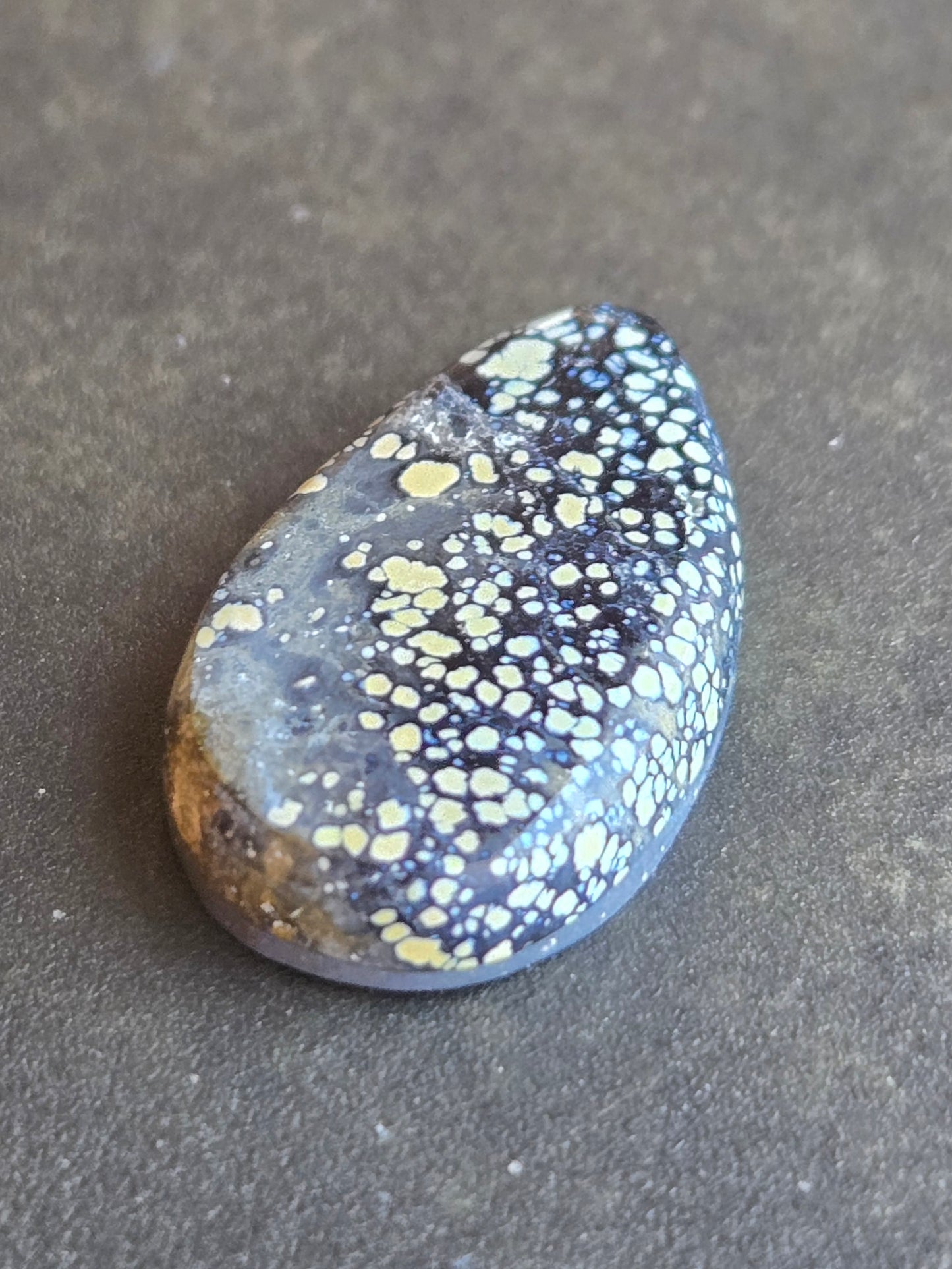 Angel Wing Variscite/Chalcosiderite Cabochon