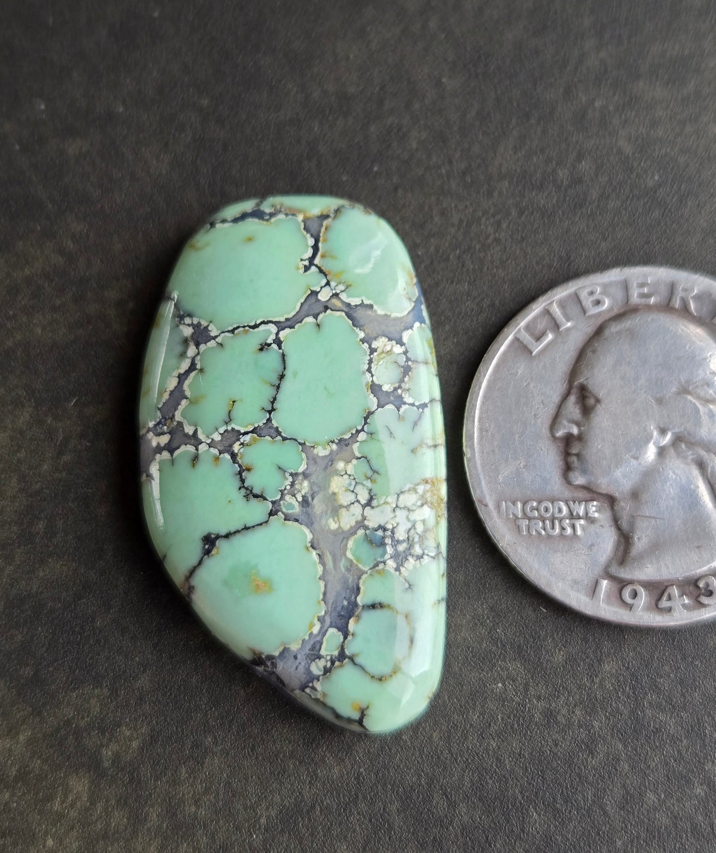 Saguaro Variscite Cabochon