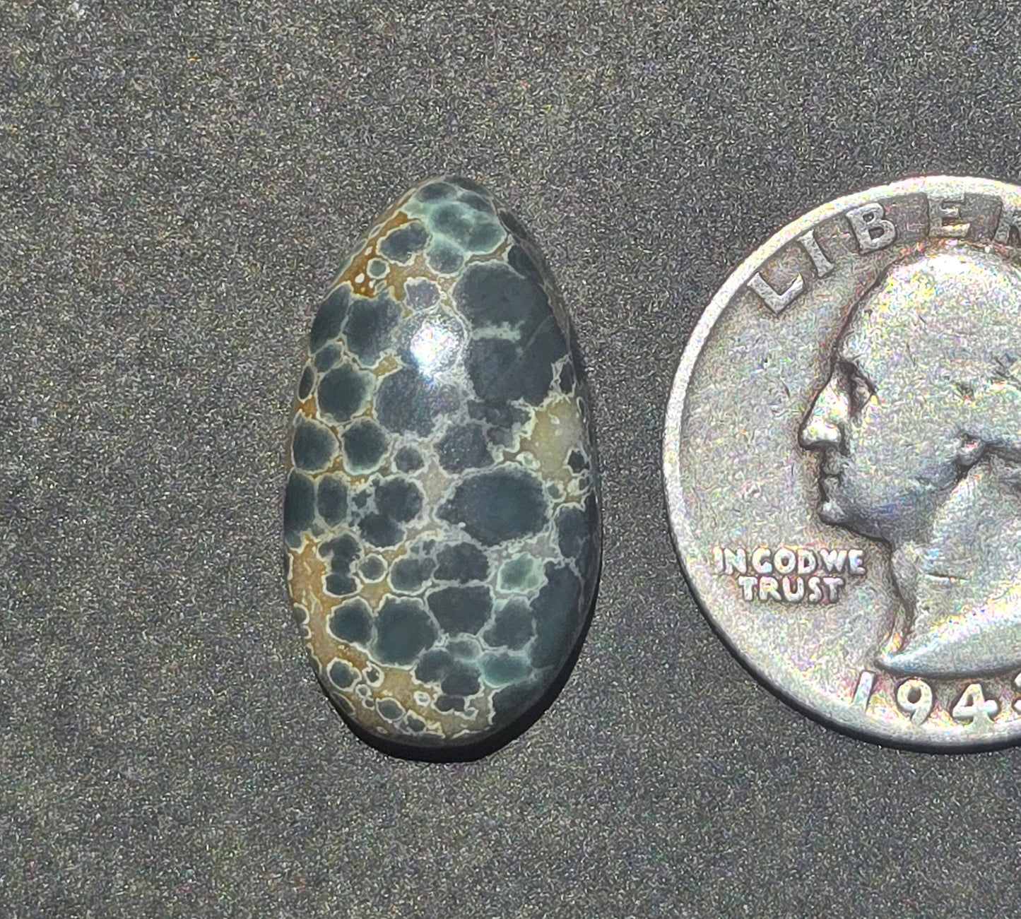 Candelaria Hills Variscite Cabochon