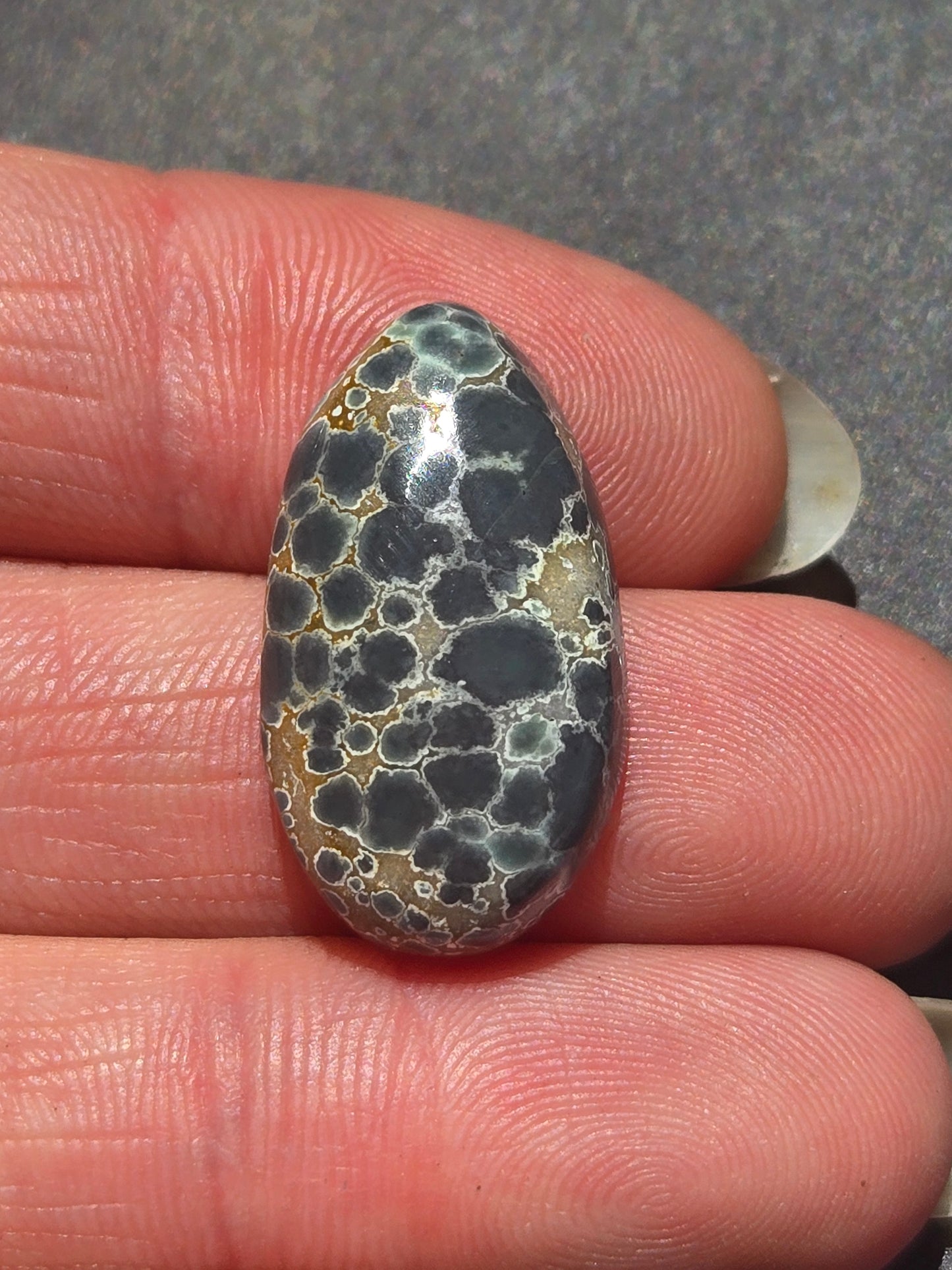 Candelaria Hills Variscite Cabochon