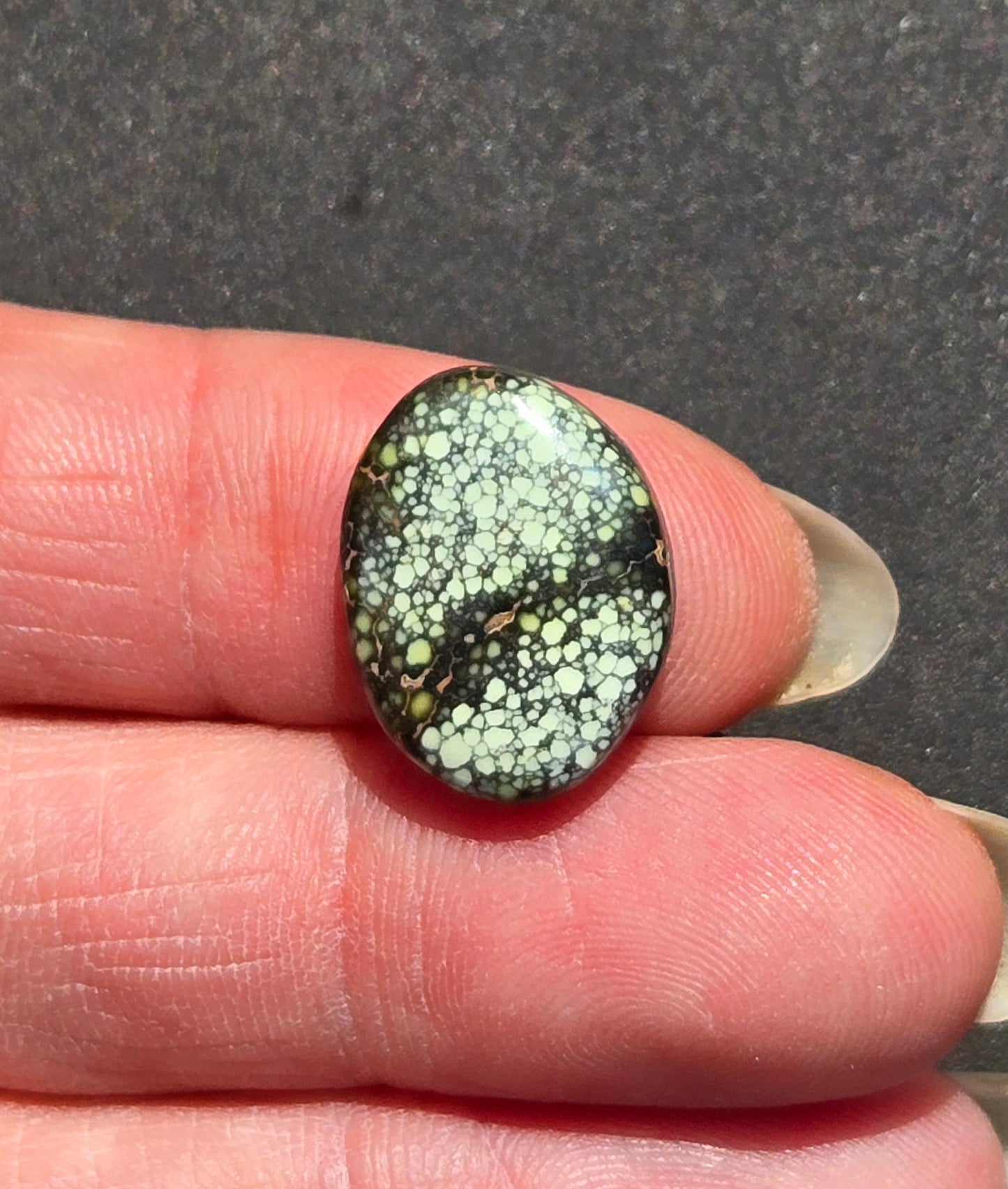 Damele Variscite Cabochon
