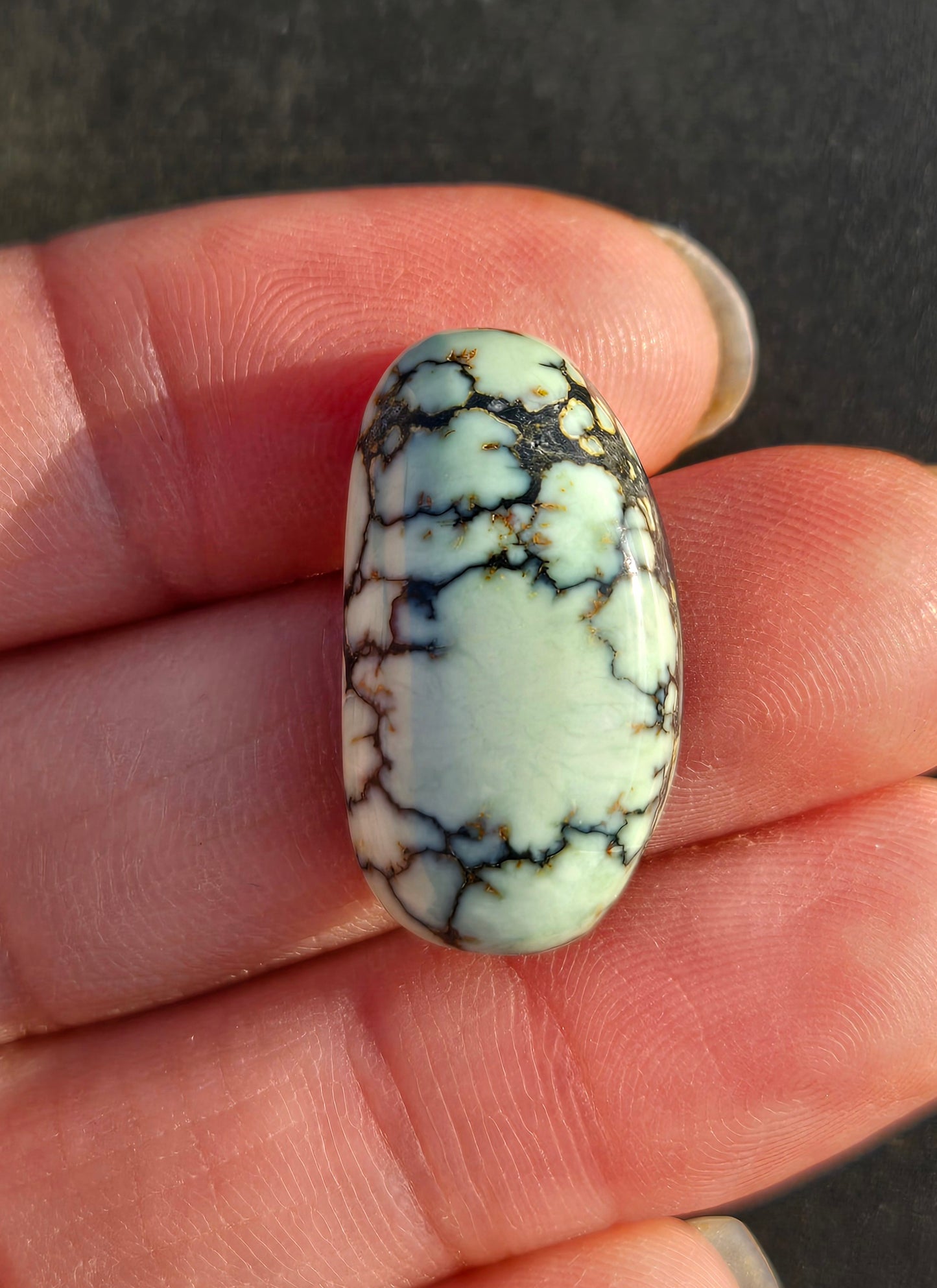 Saguaro Variscite Cabochon