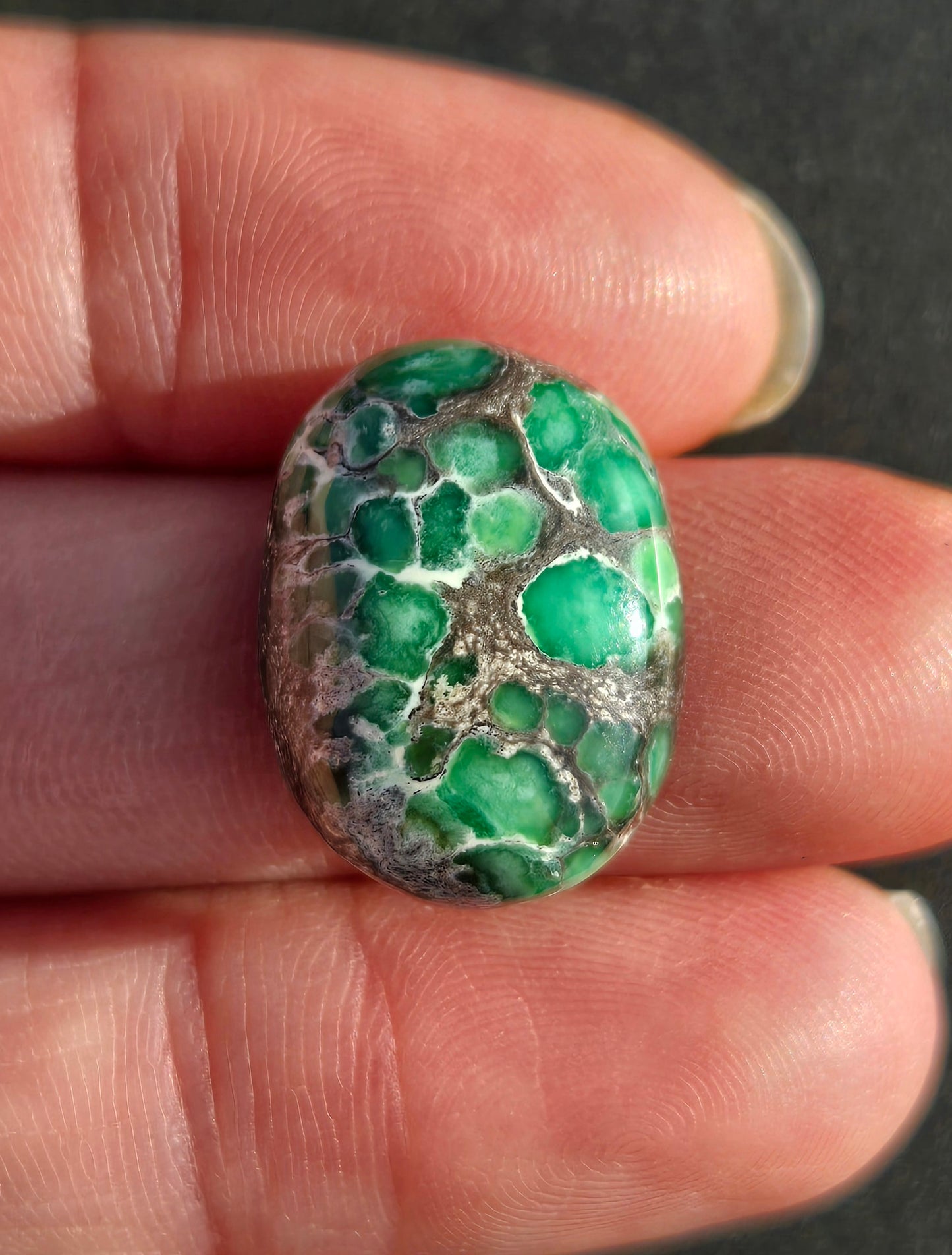 Damele Variscite Cabochon