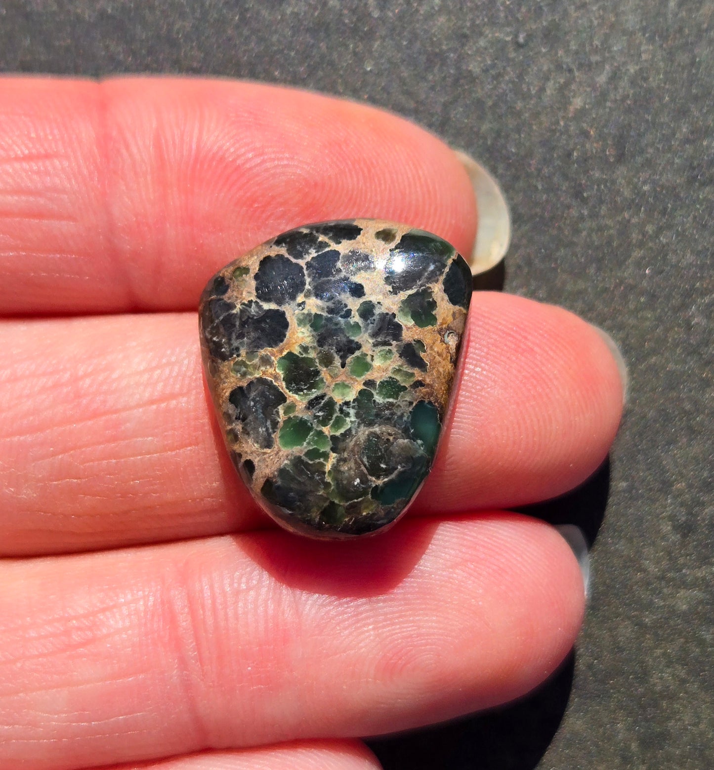 Candelaria Hills Variscite Cabochon