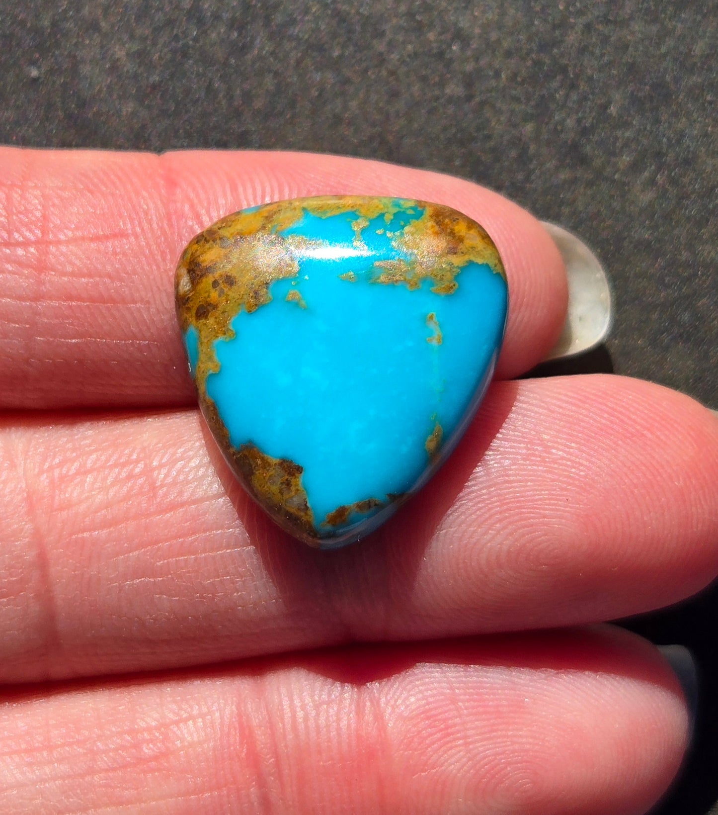 AAA Kingman Blue Hardy Pit Turquoise Cabochon
