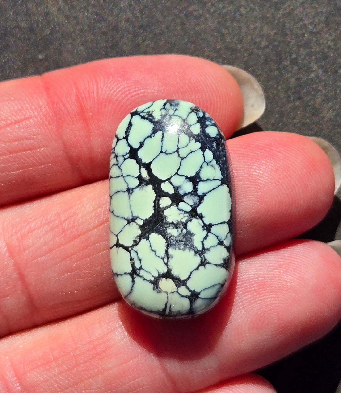 Prince Mine Variscite Cabochon