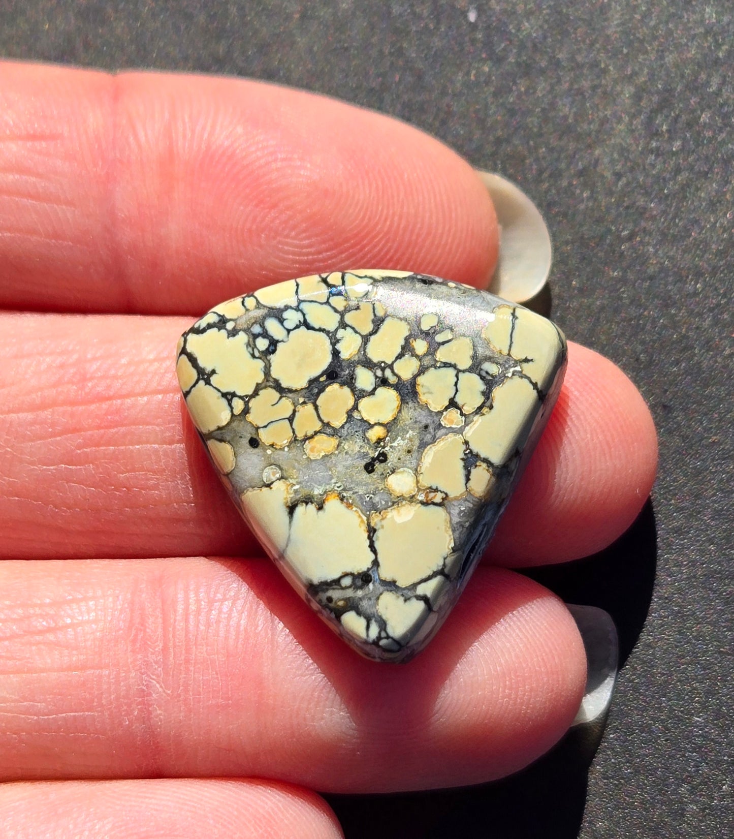 Saguaro Variscite Cabochon