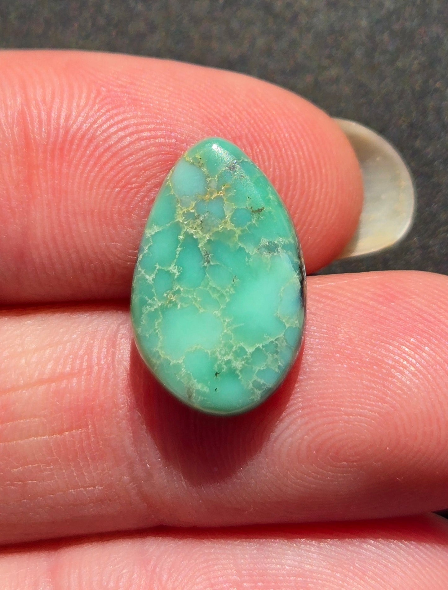 C&T Mine Variscite Cabochon