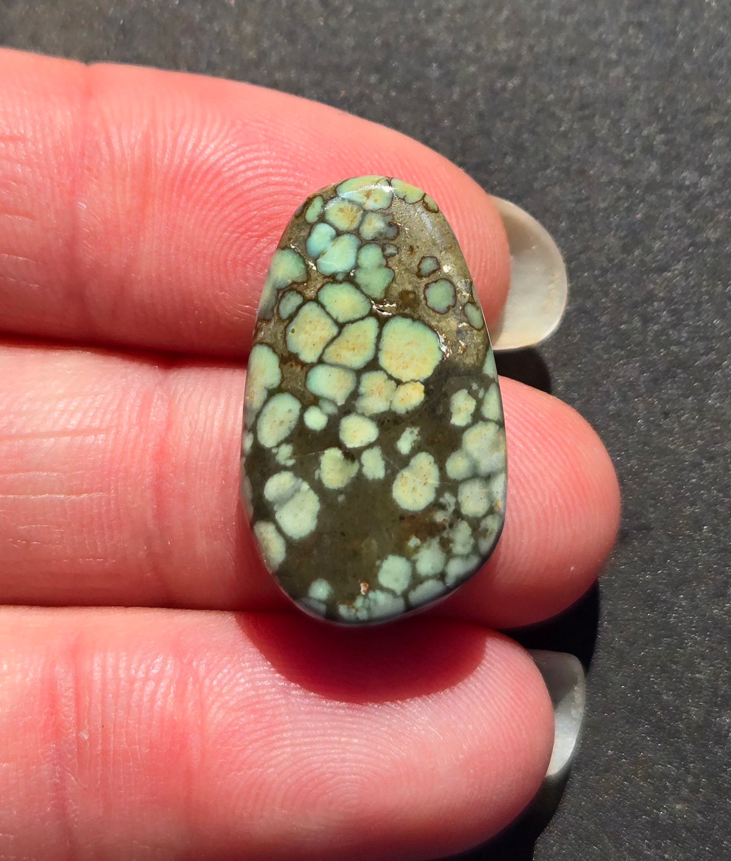 Blue Boy Variscite Cabochon