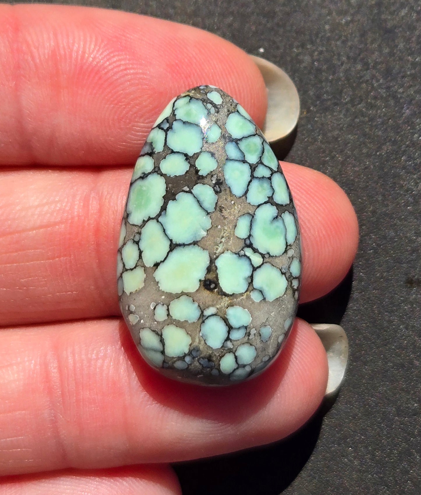 Desert Bloom Variscite Cabochon