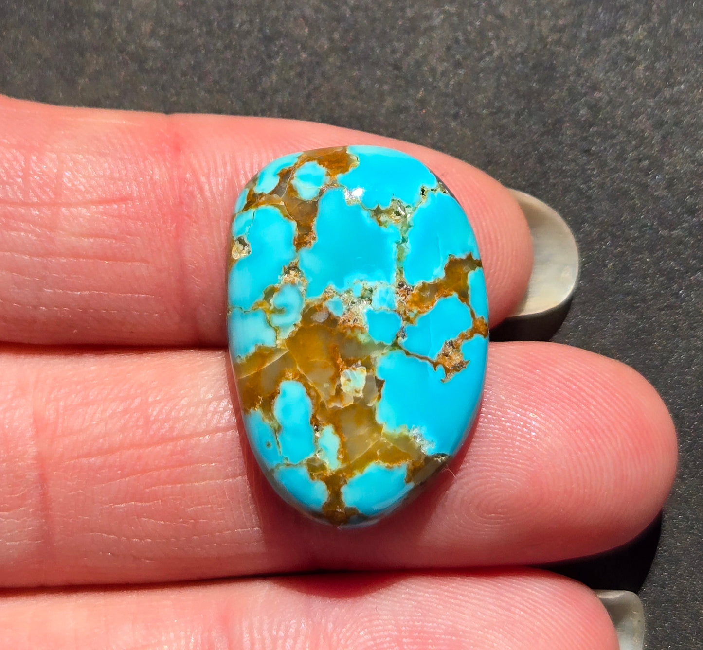 Number 8 Mine Turquoise Cabochon
