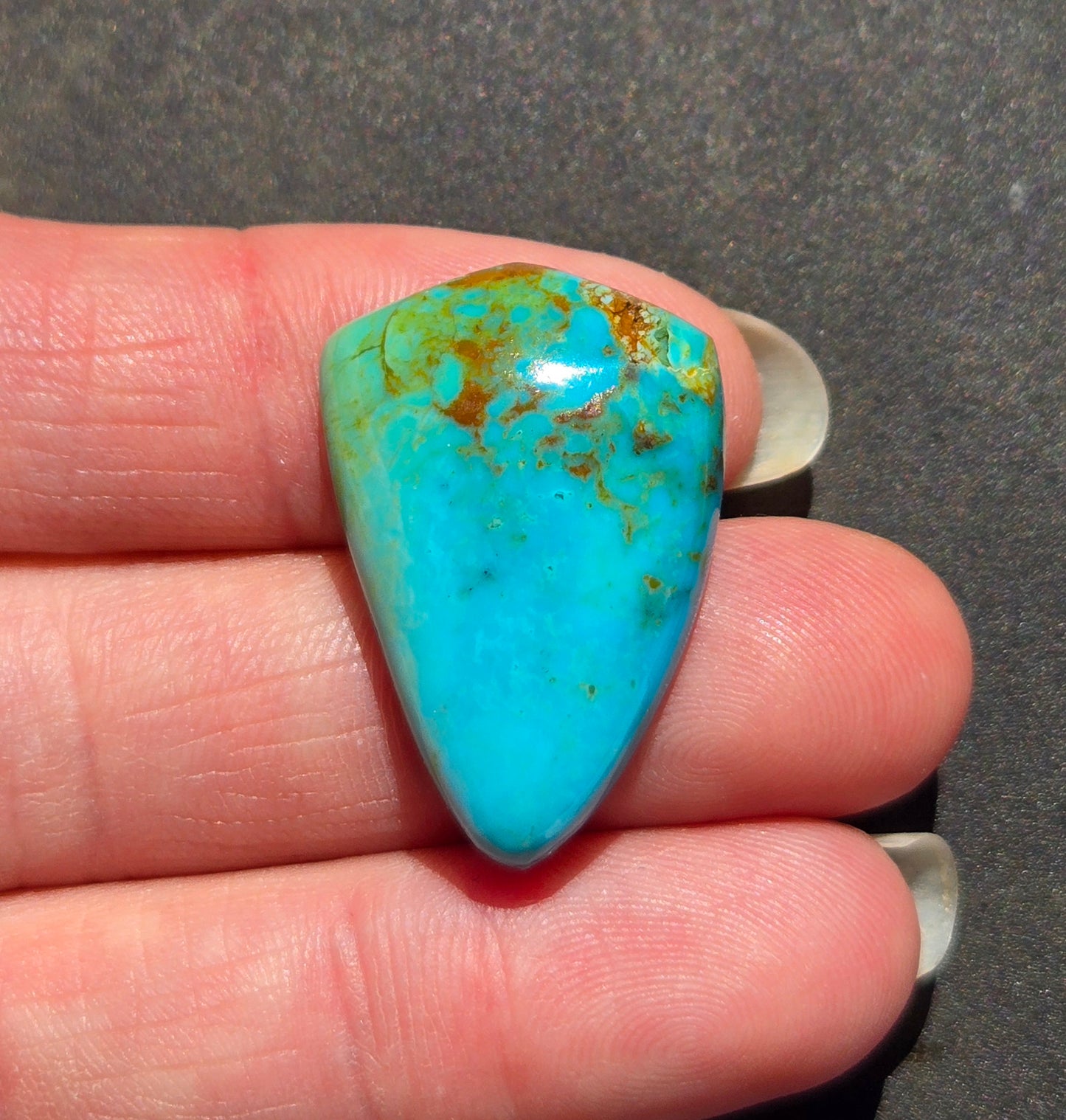 AAA Kingman Polychrome Hardy Pit Turquoise Cabochon