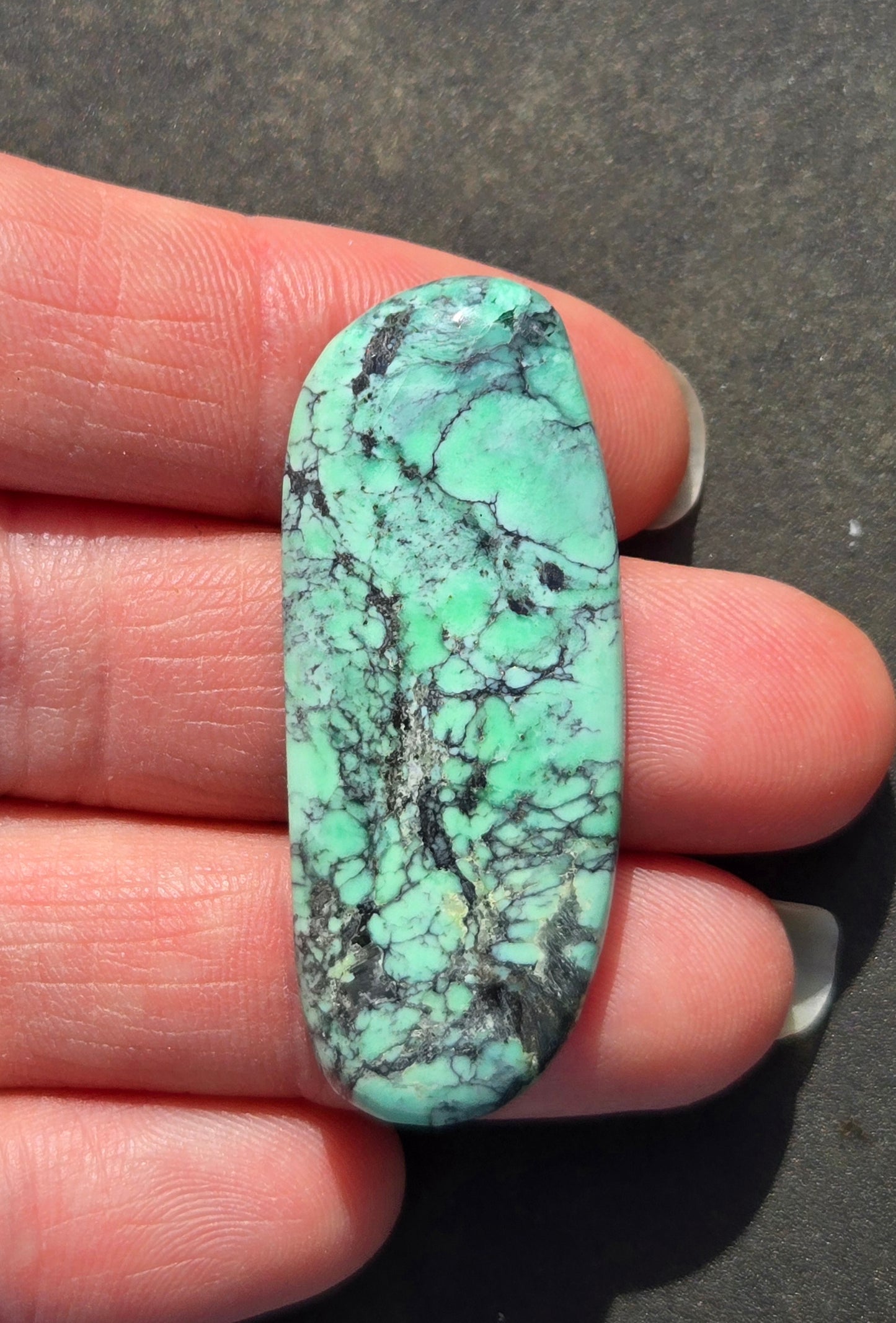 Black Bridge Variscite Cabochon