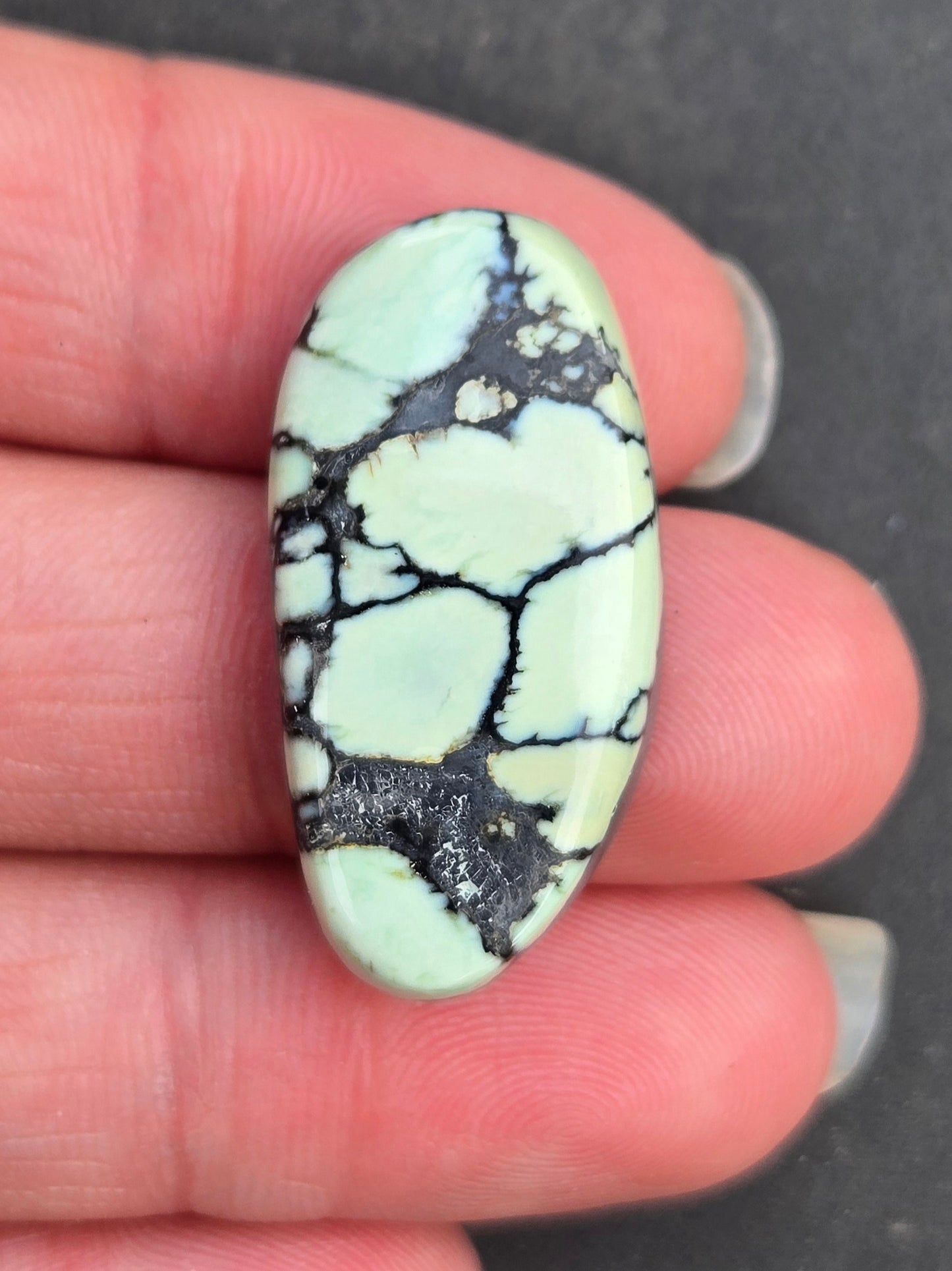 Saguaro Variscite Cabochon