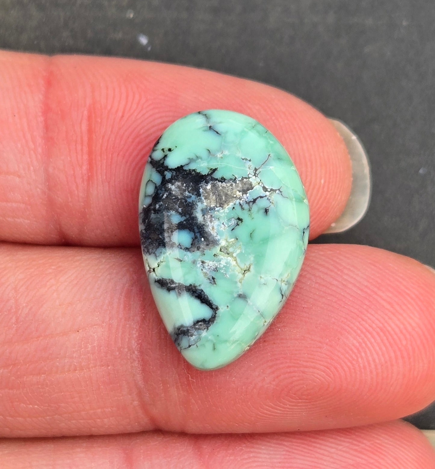 C&T Mine Variscite Cabochon
