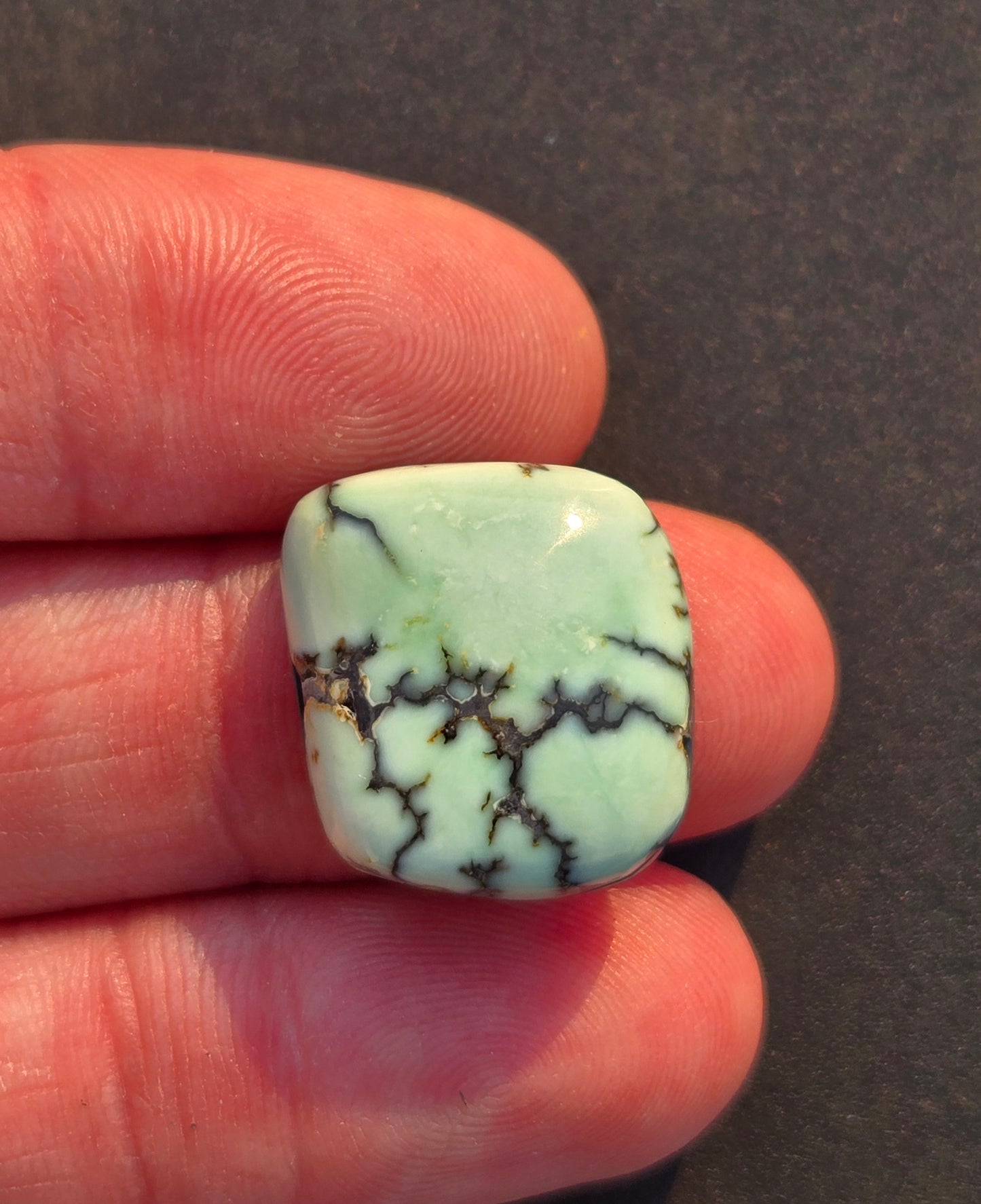 Saguaro Variscite Cabochon