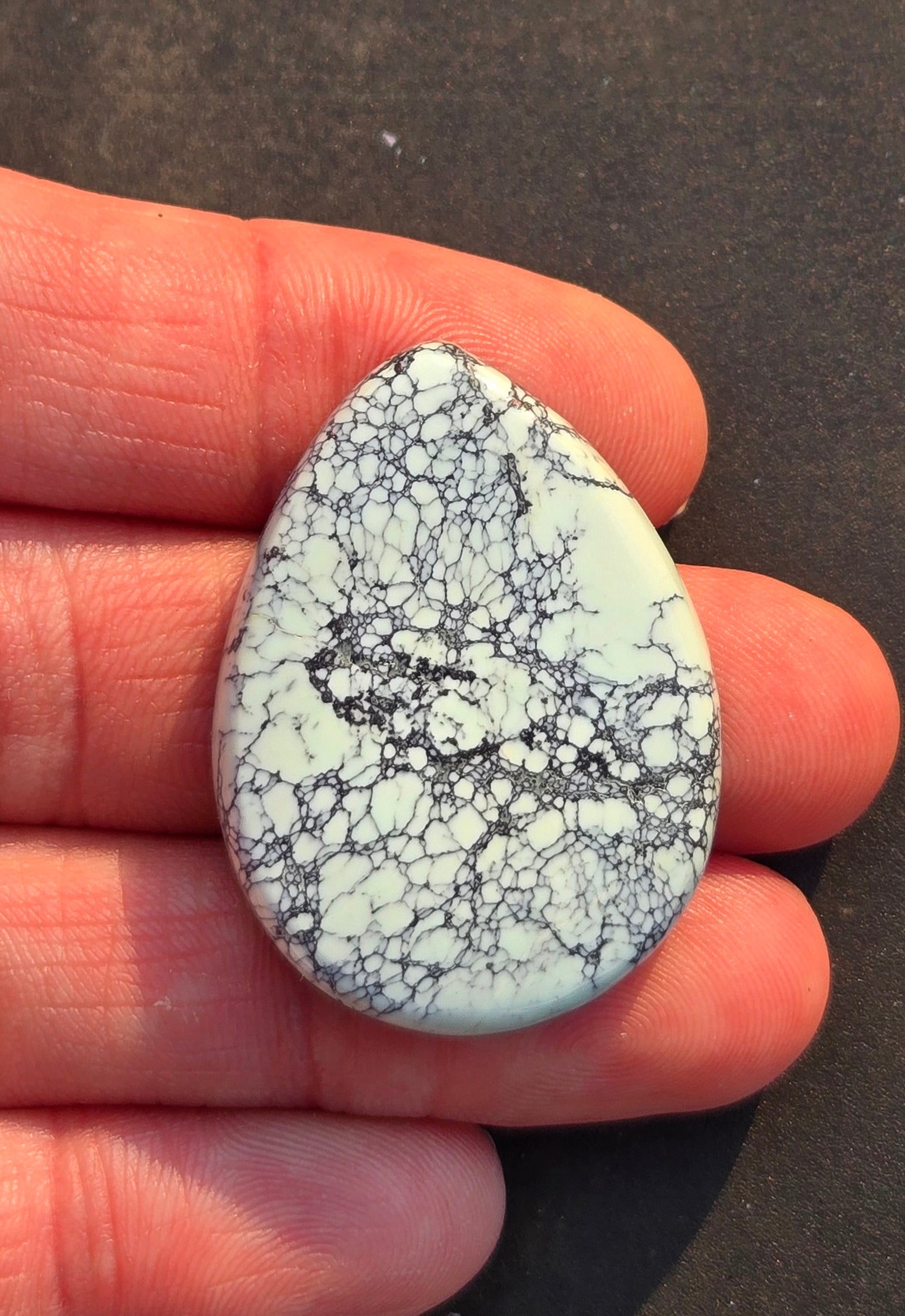 Black Bridge Variscite Cabochon