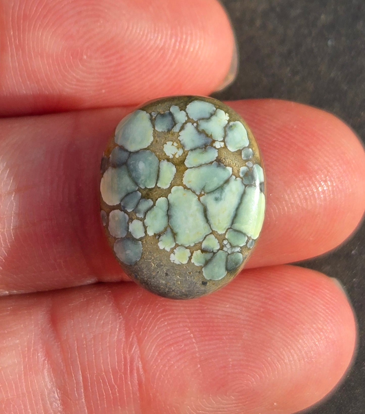 Turtleback Variscite Cabochon