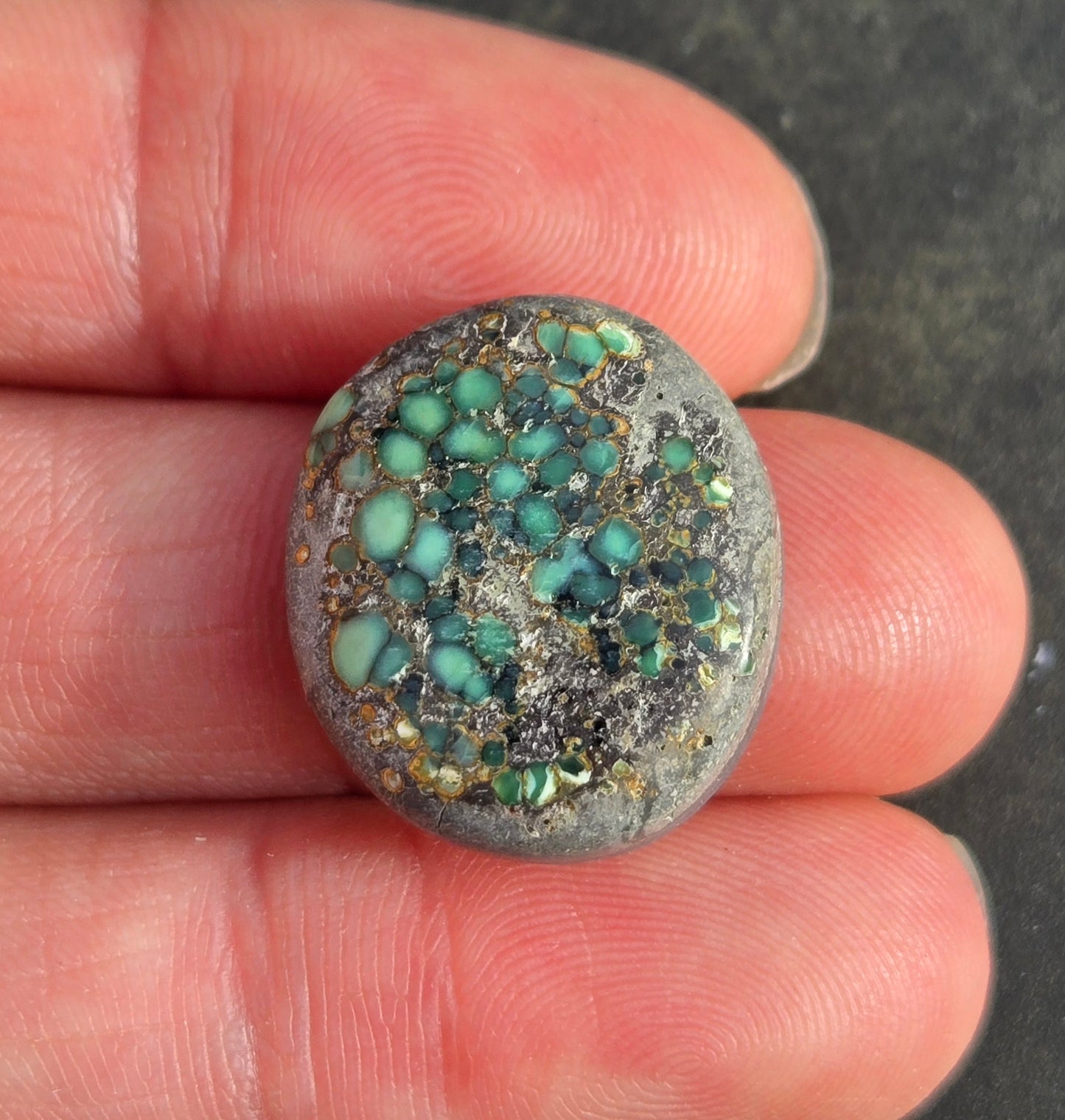 Turtleback Variscite Cabochon