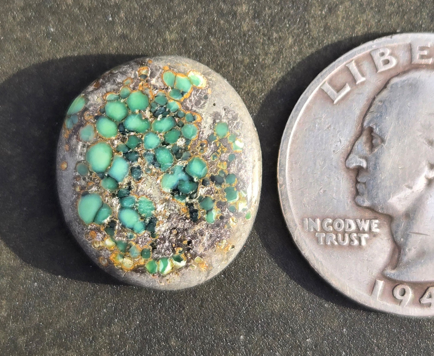 Turtleback Variscite Cabochon