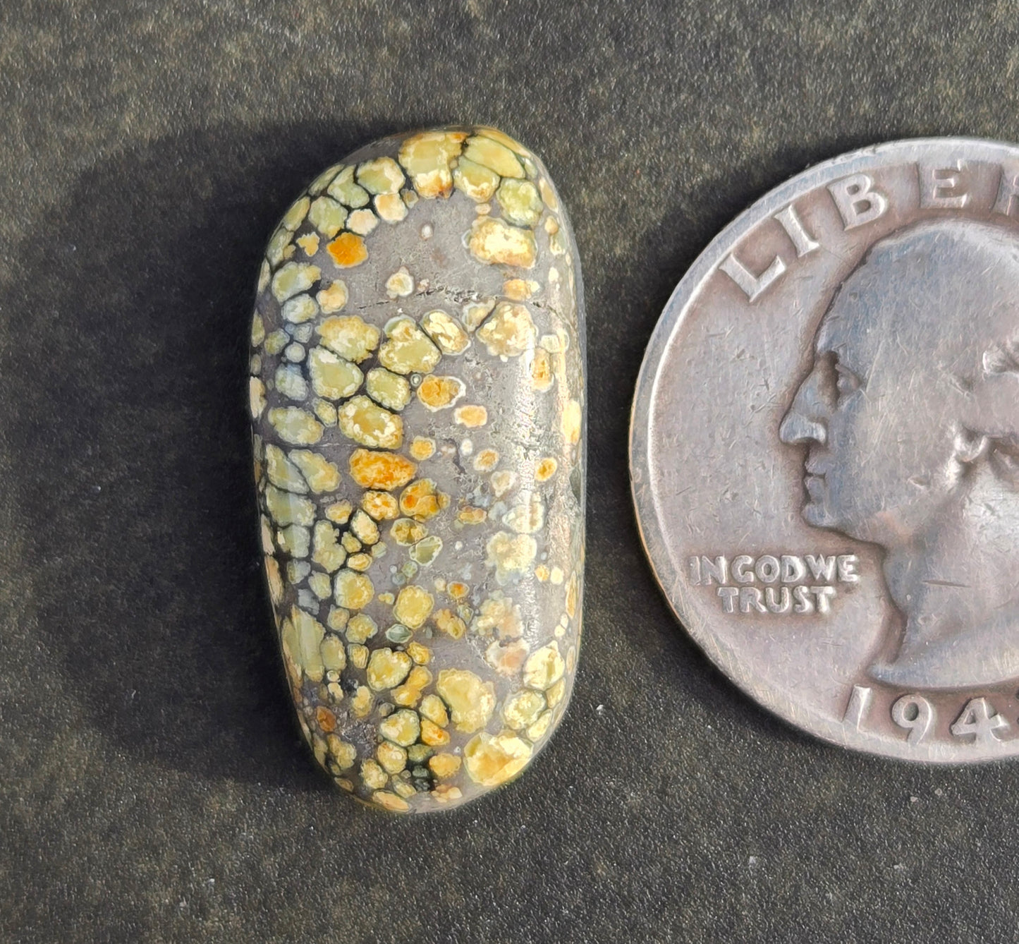 Desert Bloom Variscite Cabochon