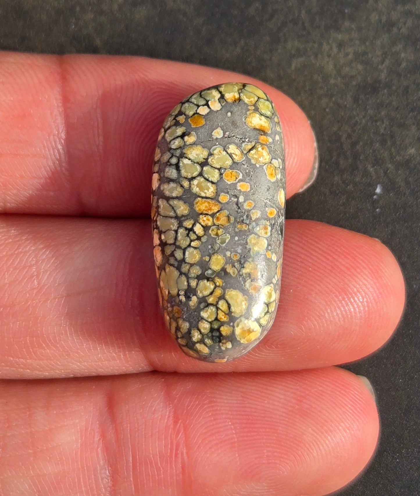 Desert Bloom Variscite Cabochon