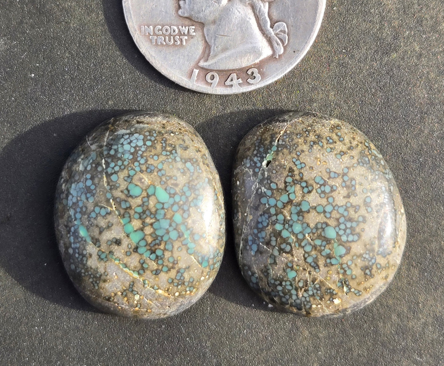 Turtleback Variscite Cabochon set