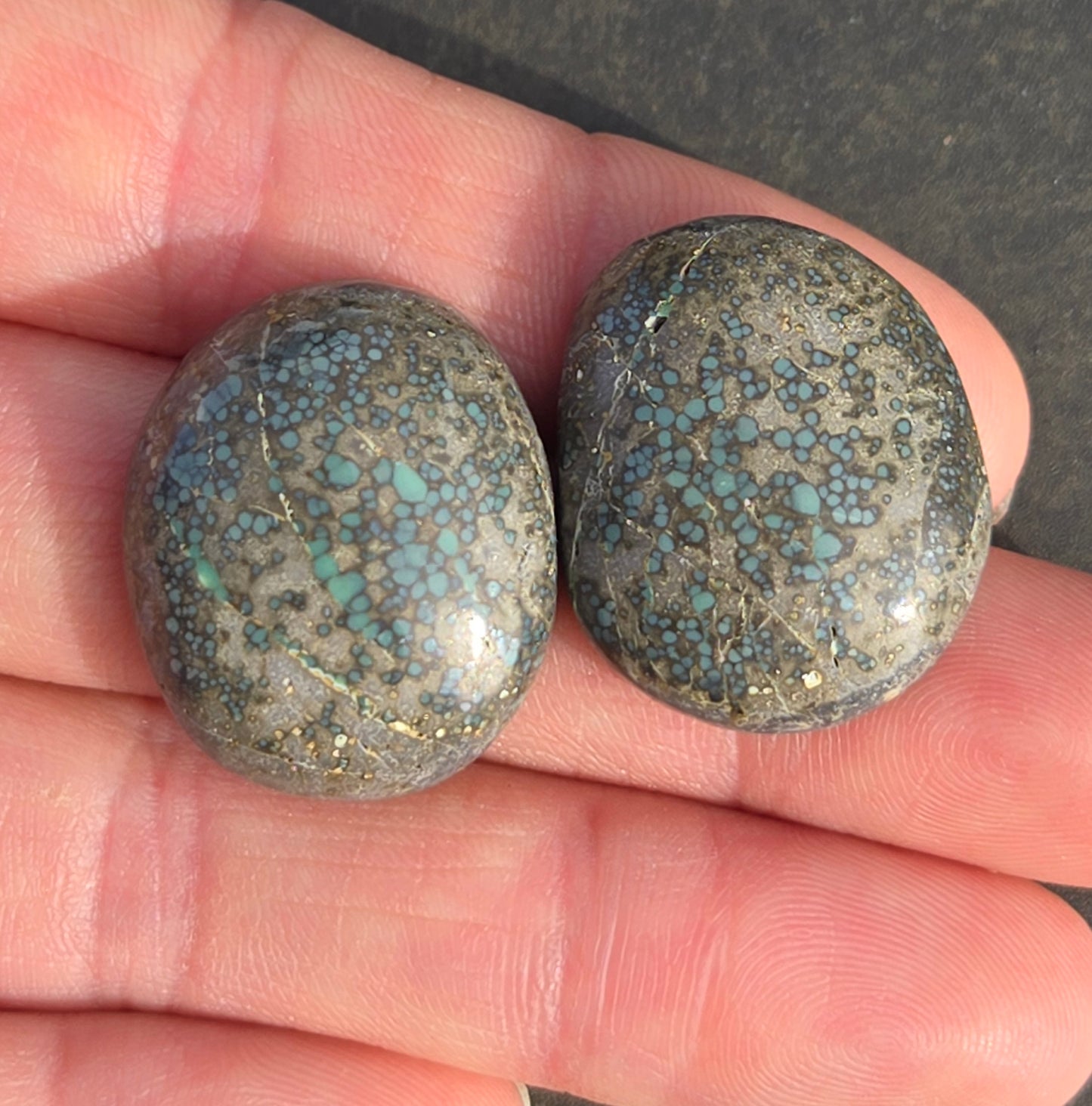 Turtleback Variscite Cabochon set