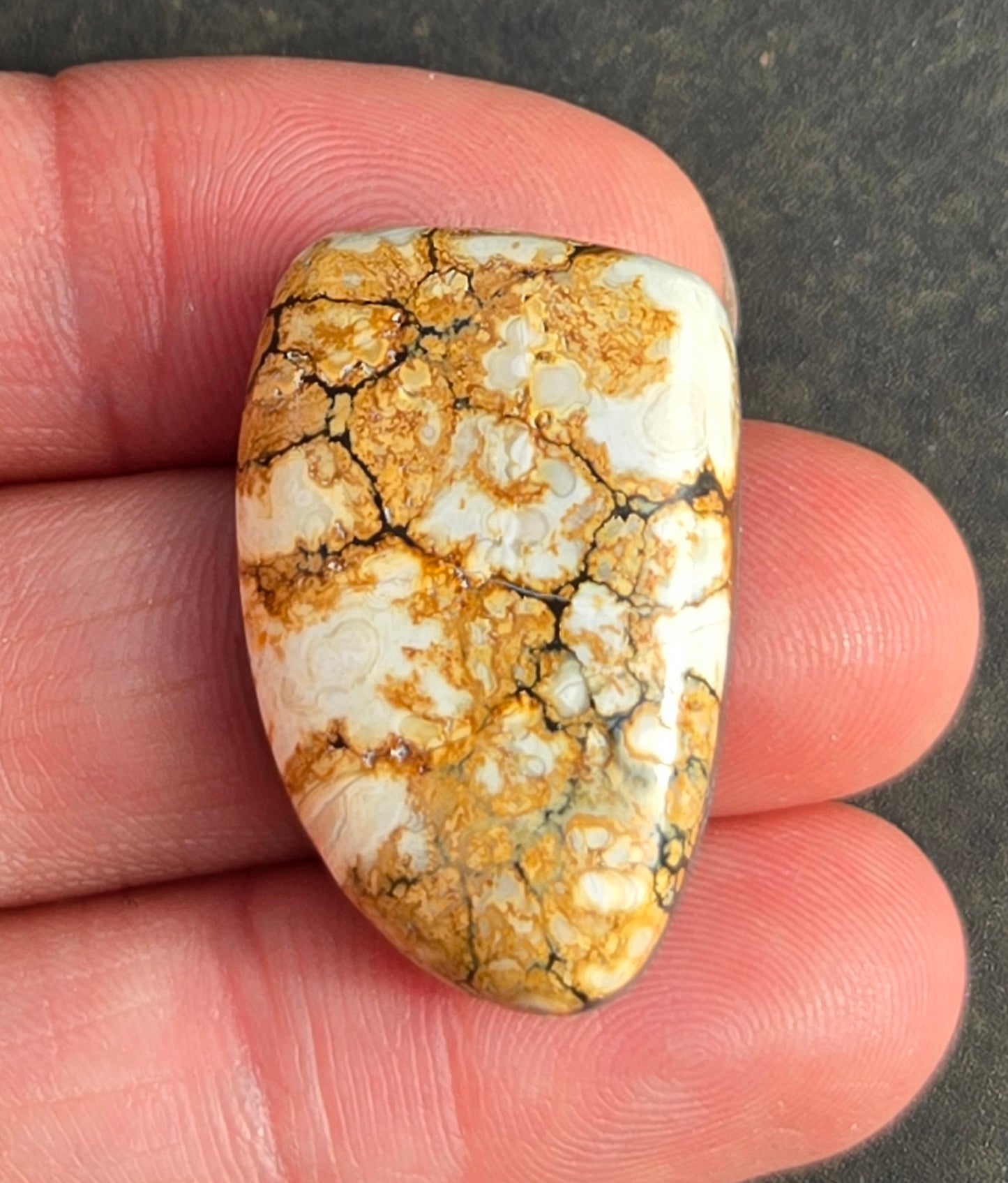 Seven Dwarfs Variscite Cabochon 7D