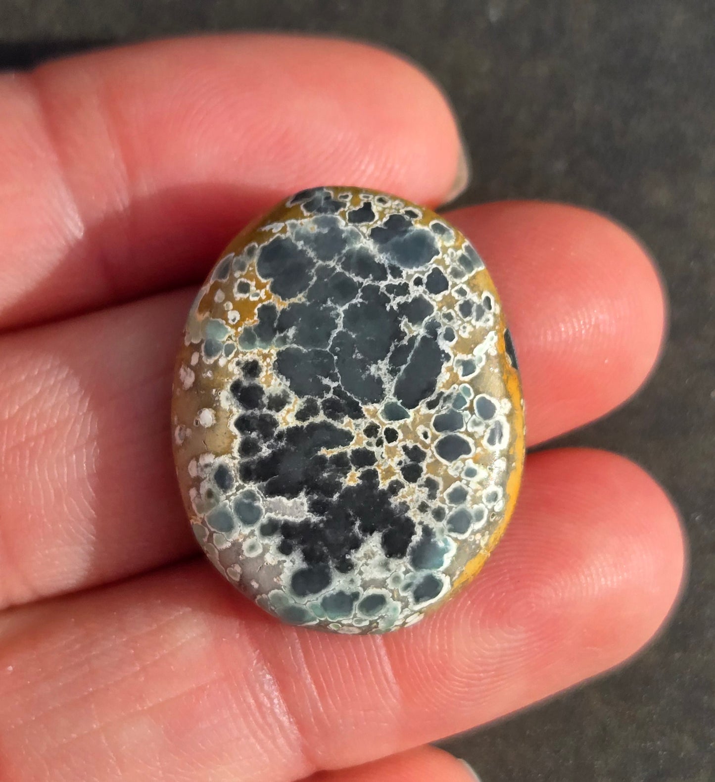 Candelaria Hills Variscite Cabochon