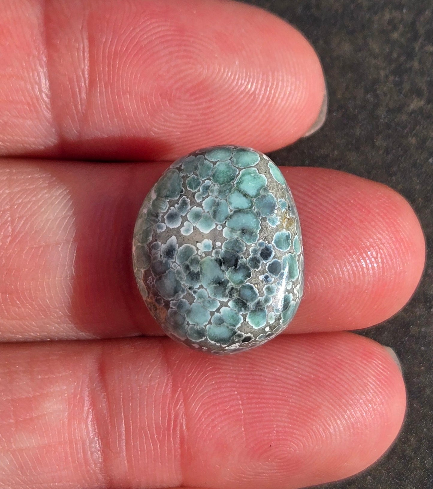 Candelaria Hills Variscite Cabochon