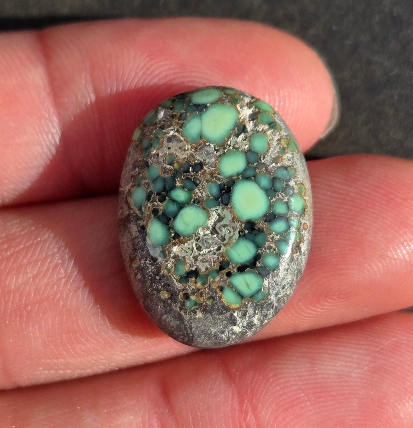 Turtleback Variscite Cabochon