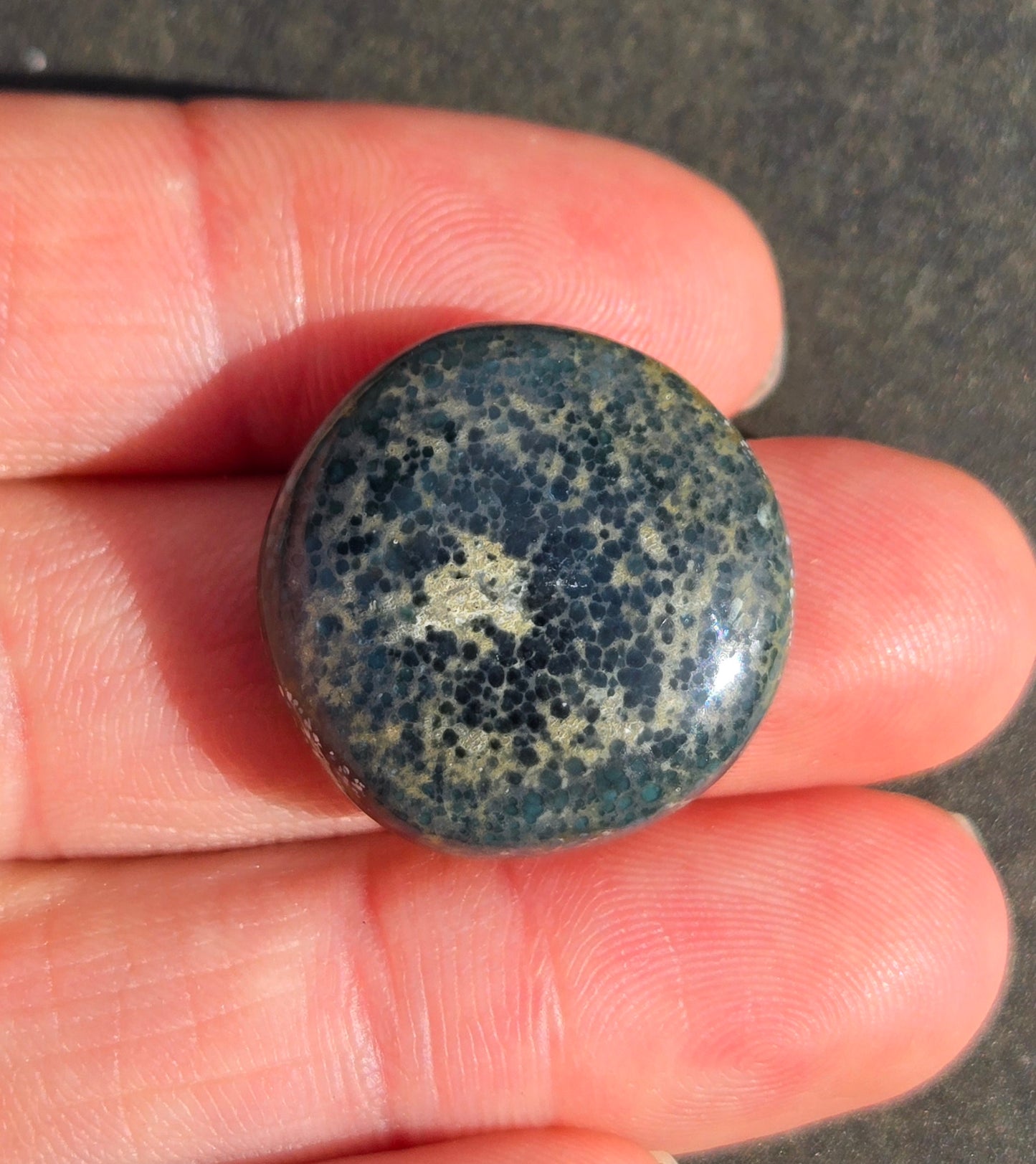 Turtleback Variscite Cabochon