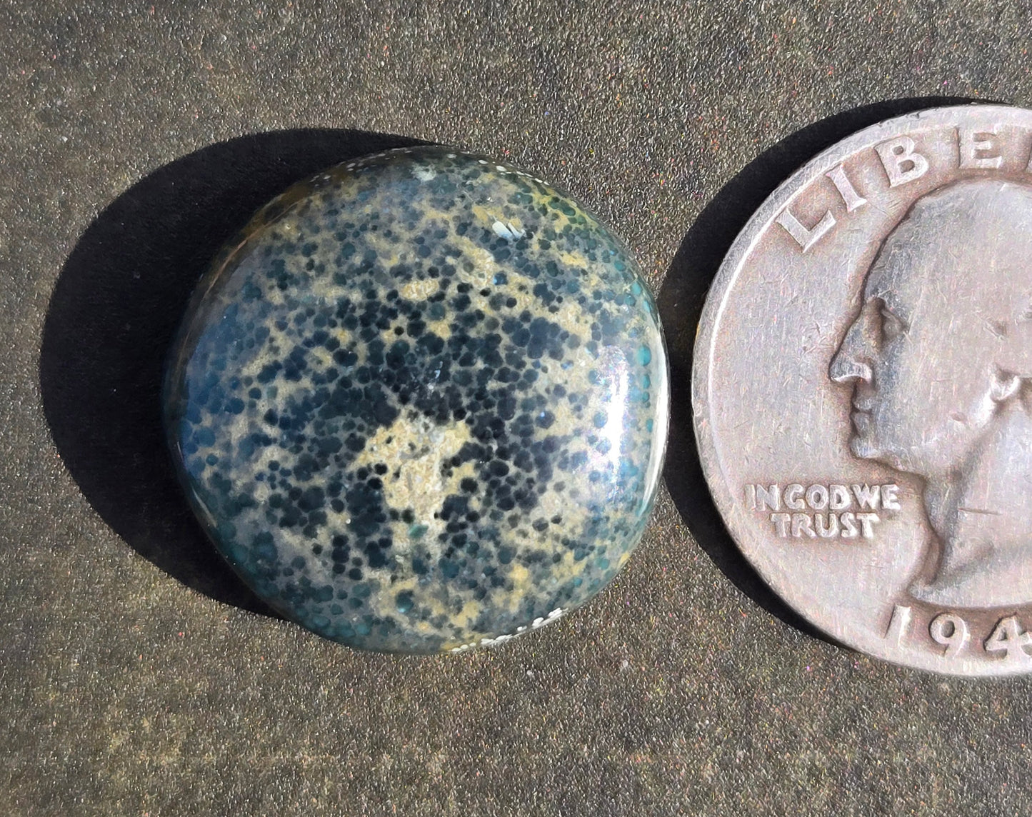 Turtleback Variscite Cabochon