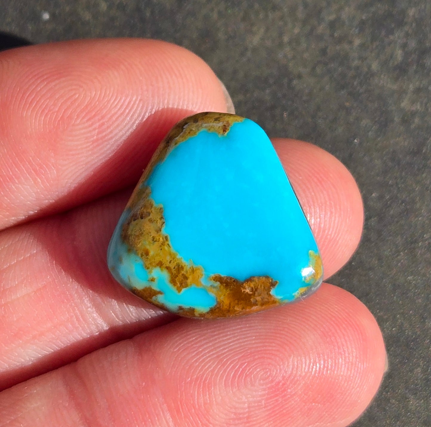 AAA Kingman Polychrome Hardy Pit Turquoise Cabochon
