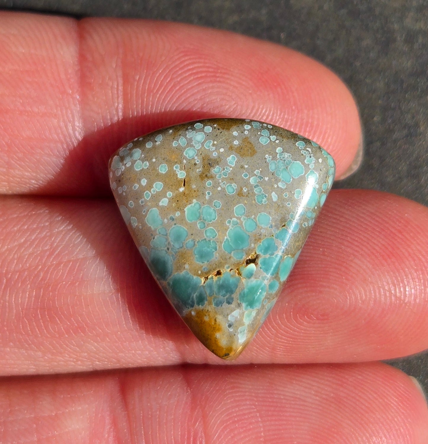 Candelaria Hills Variscite Cabochon